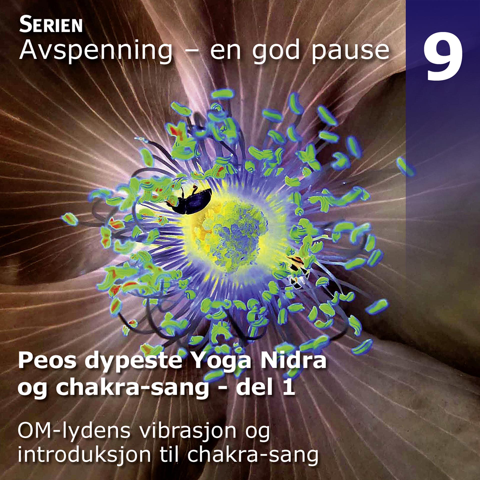 Постер альбома Peos Dypeste Yoga Nidra Avspenning Og Chakrasang, Del 1