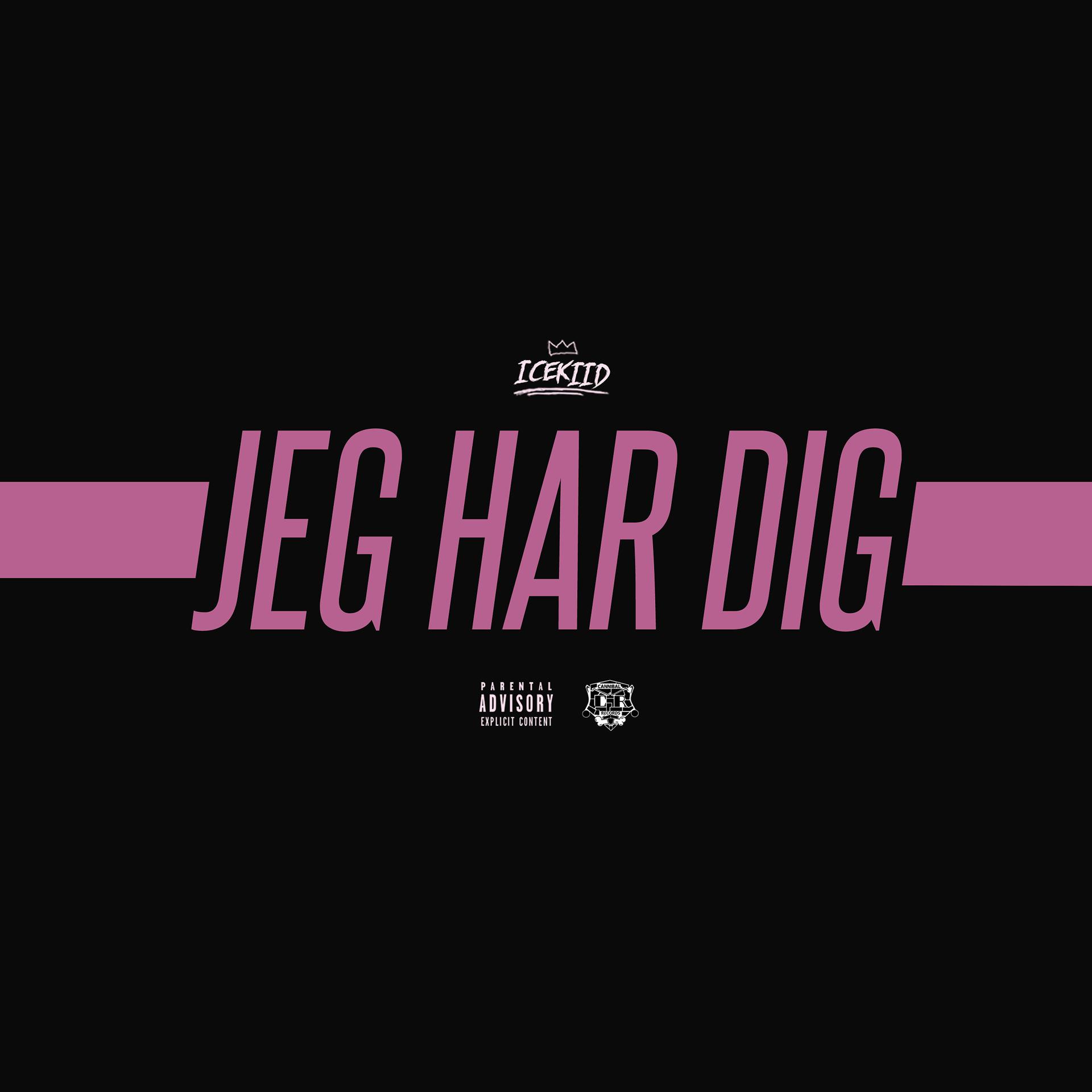 Постер альбома Jeg Har Dig