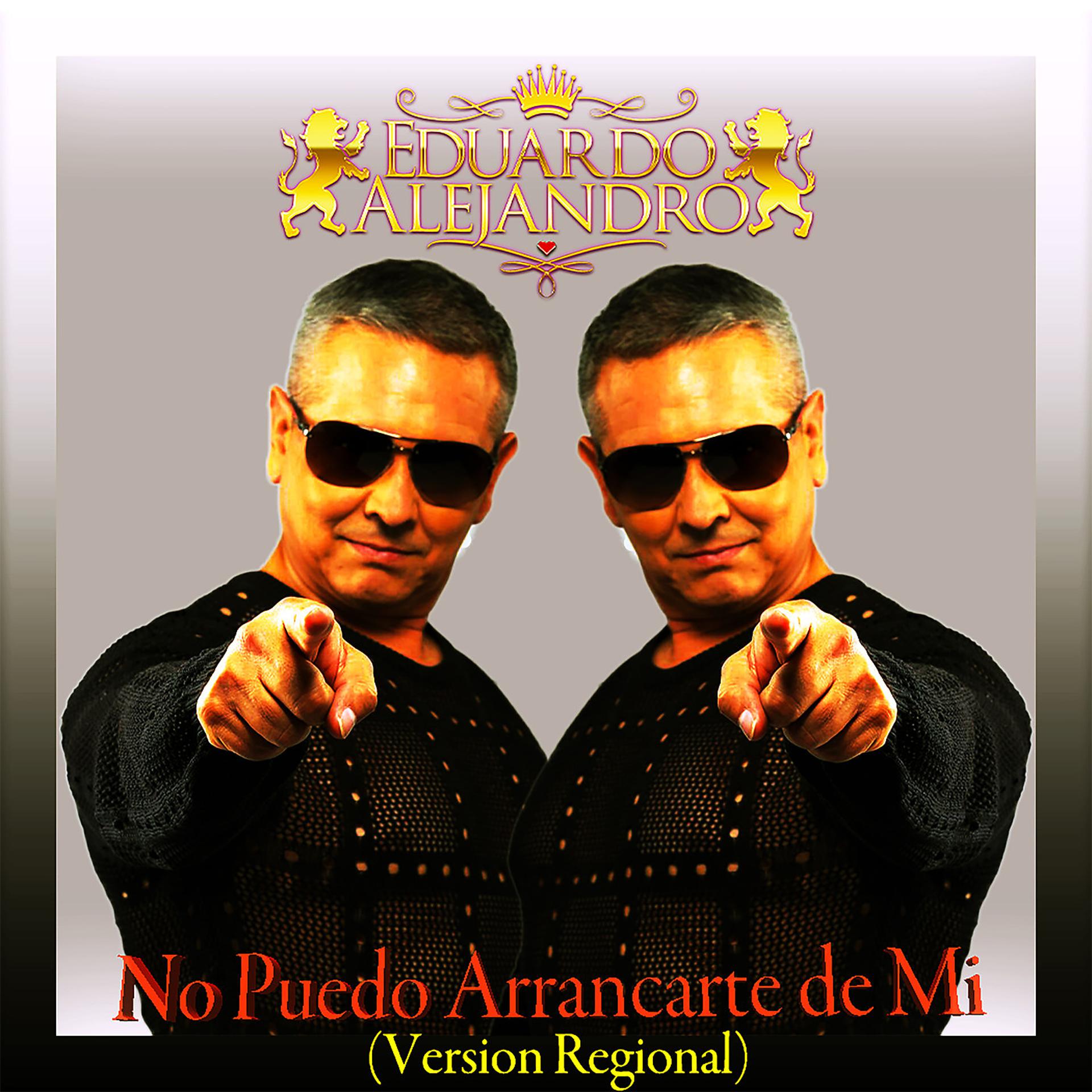 Постер альбома No Puedo Arrancarte De Mi (Version Regional)