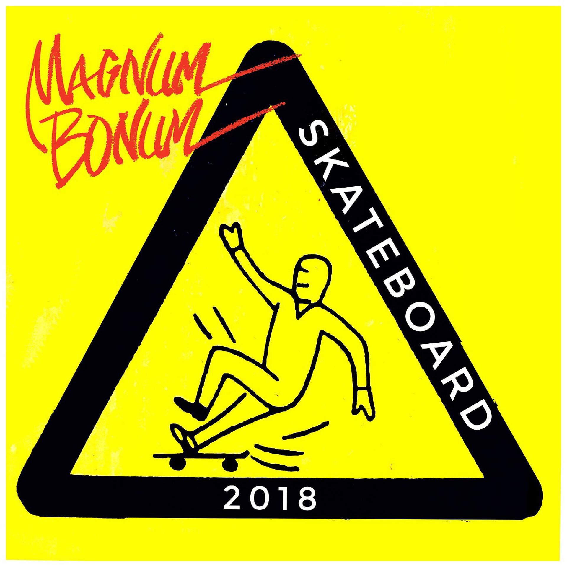 Постер альбома Skateboard