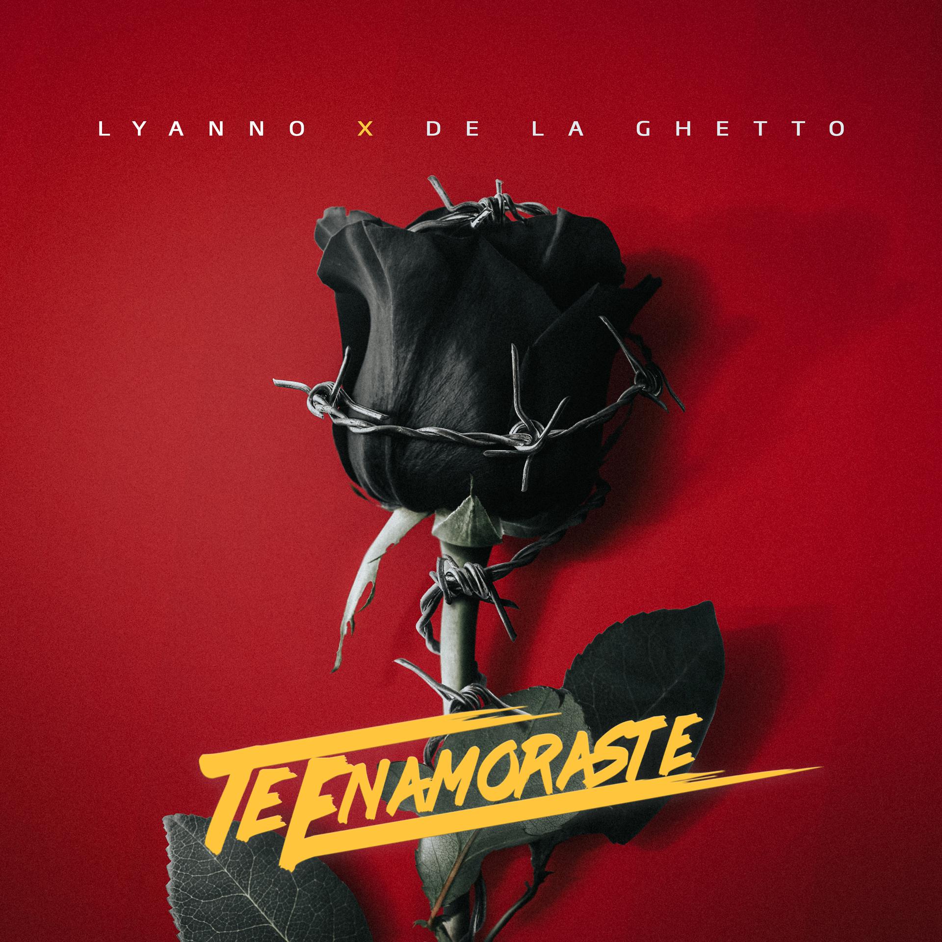Постер альбома Te Enamoraste