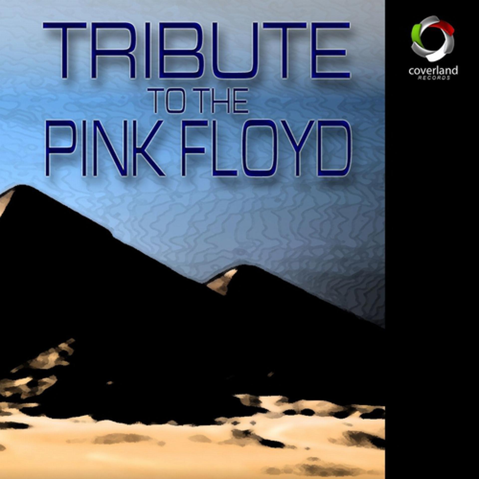 Постер альбома A Tribute To Pink Floyd