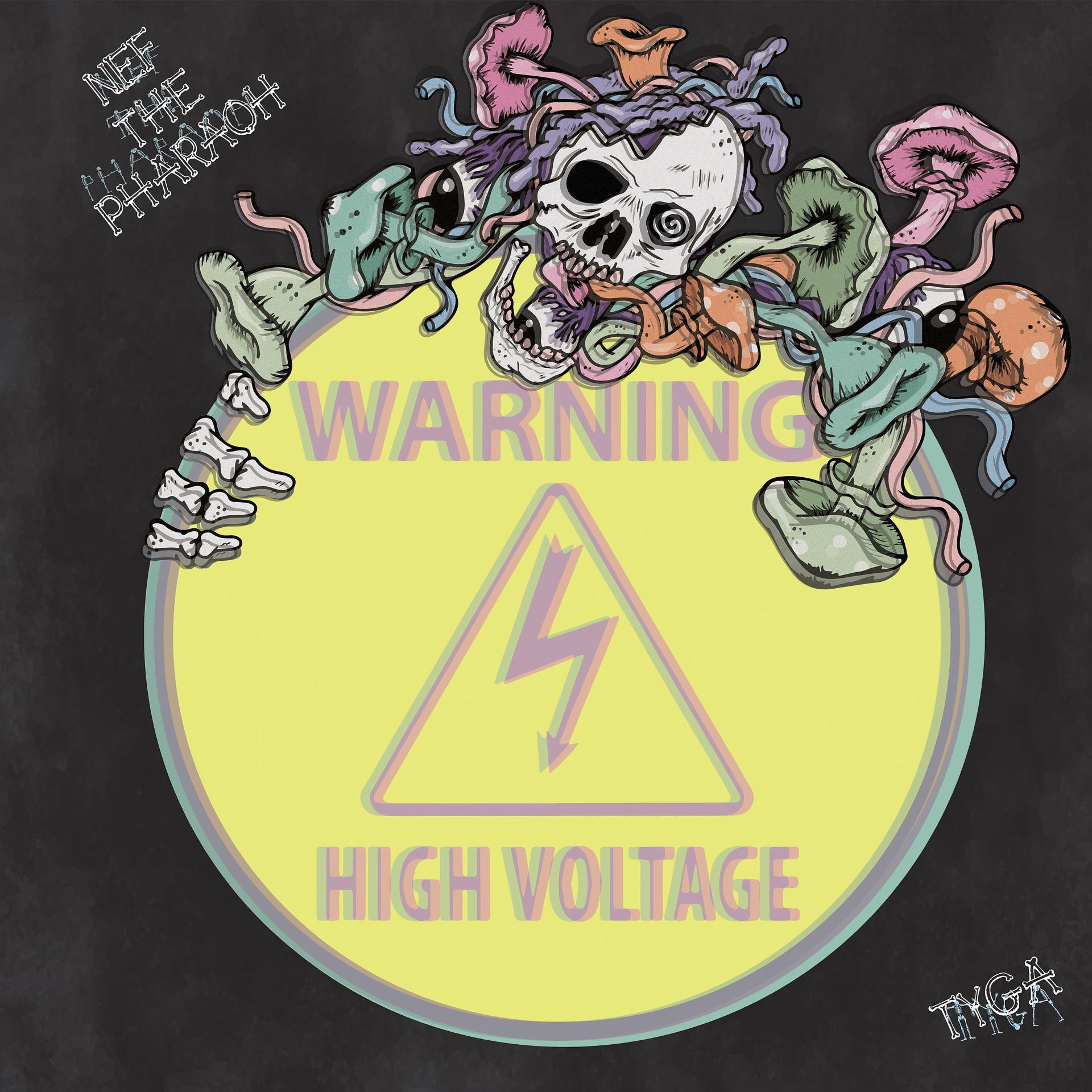 Постер альбома High Voltage (feat. Tyga)