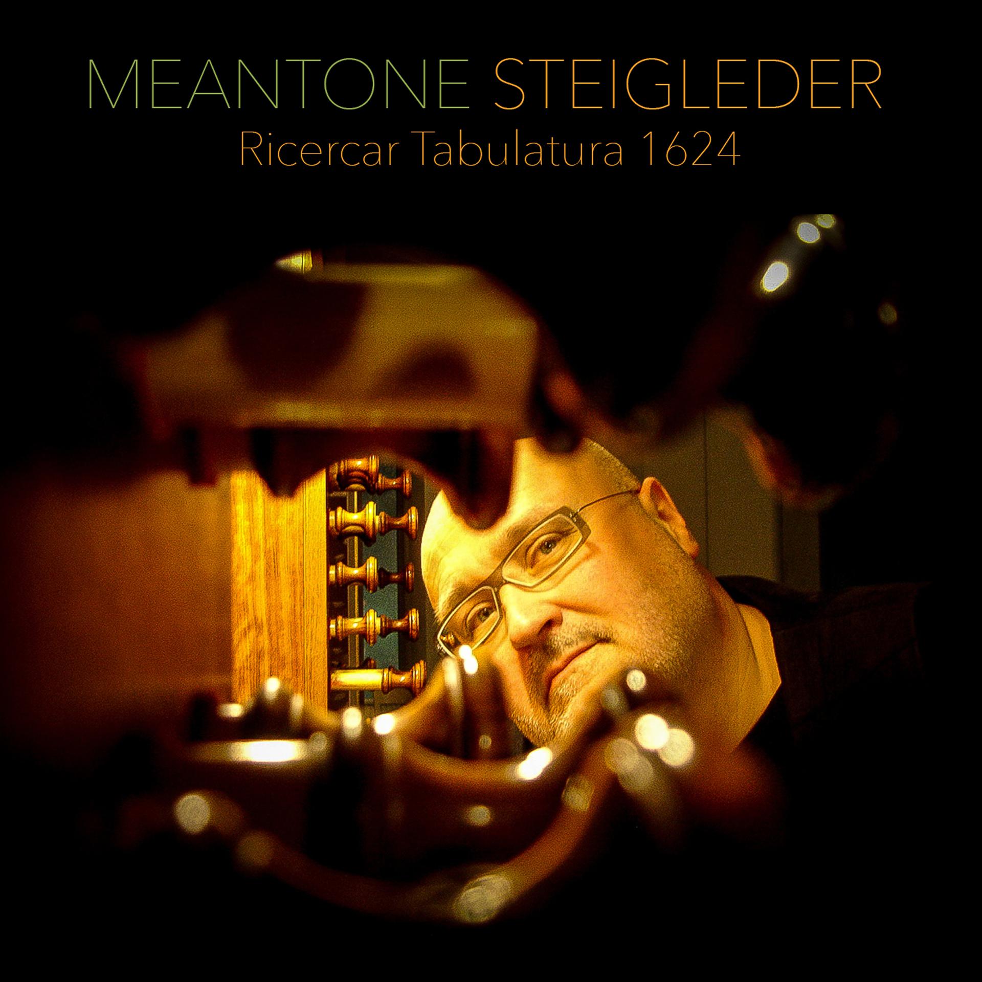 Постер альбома Meantone Steigleder