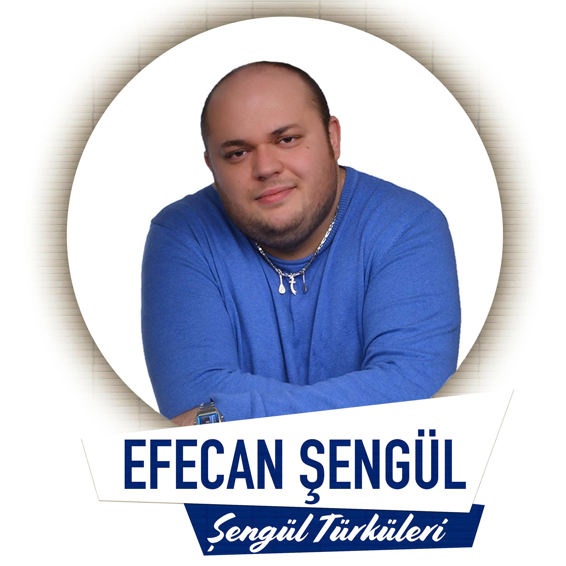 Постер альбома Şengül Türküleri