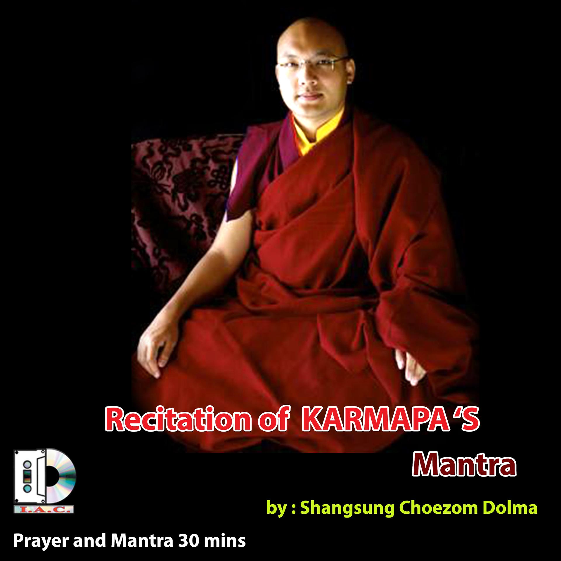 Постер альбома Resitation of Karmapa