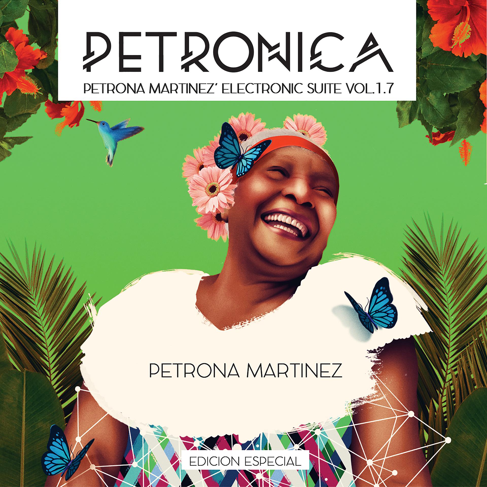 Постер альбома Petronica: Petrona Martinez Electronic Suite, Vol. 1.7