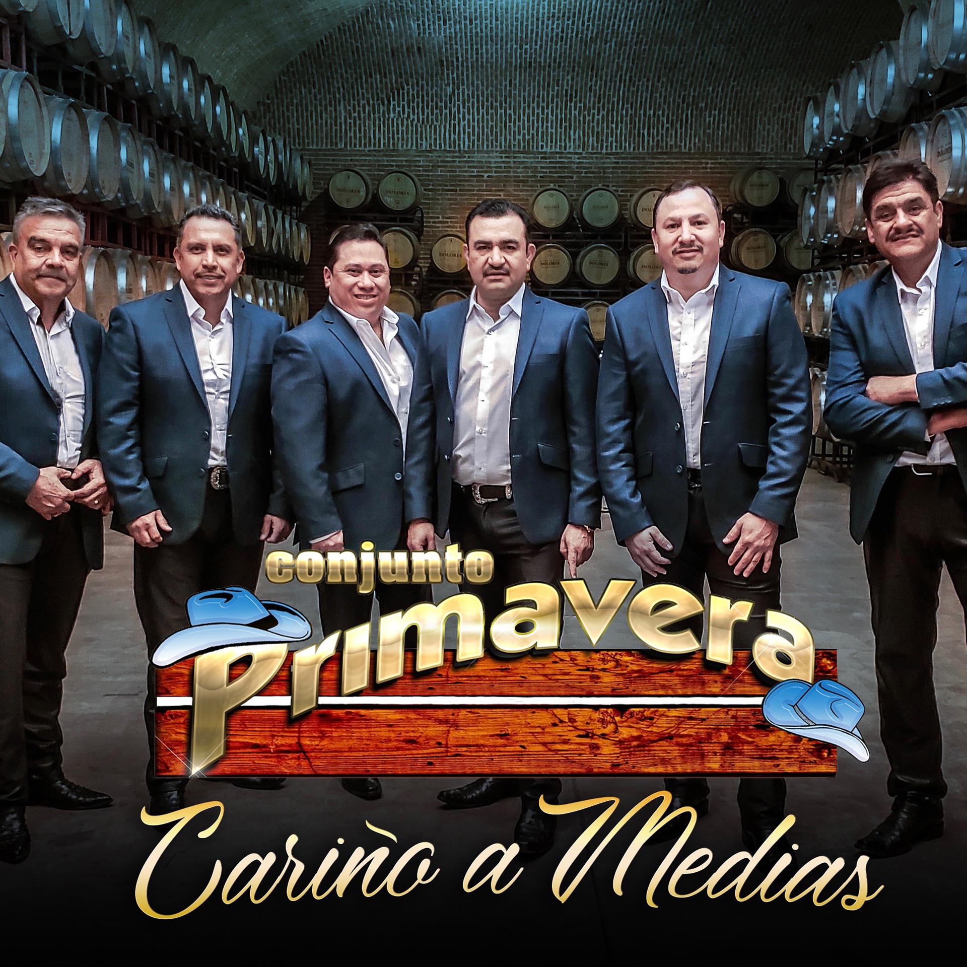 Постер альбома Cariño a Medias