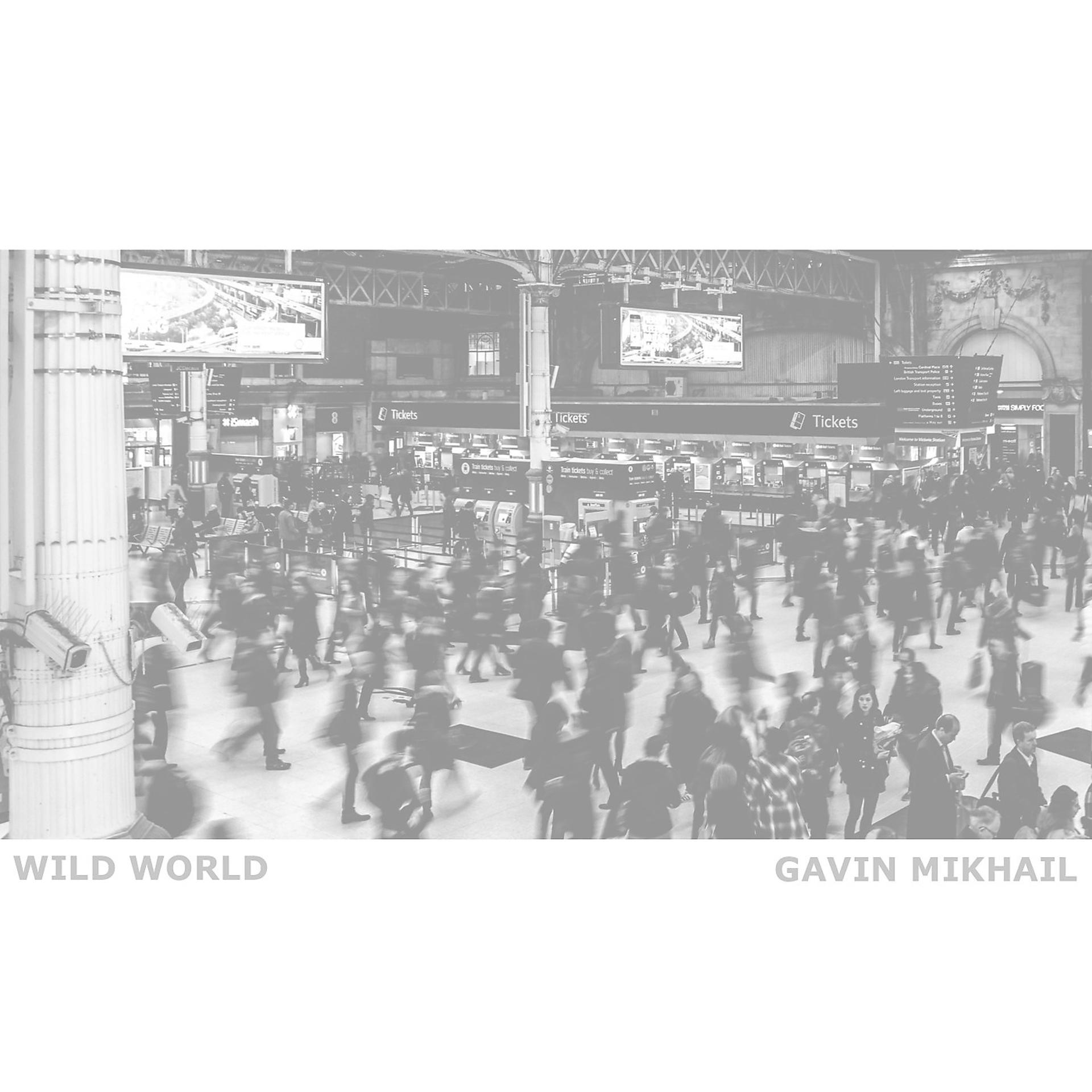 Постер альбома Wild World (Acoustic)