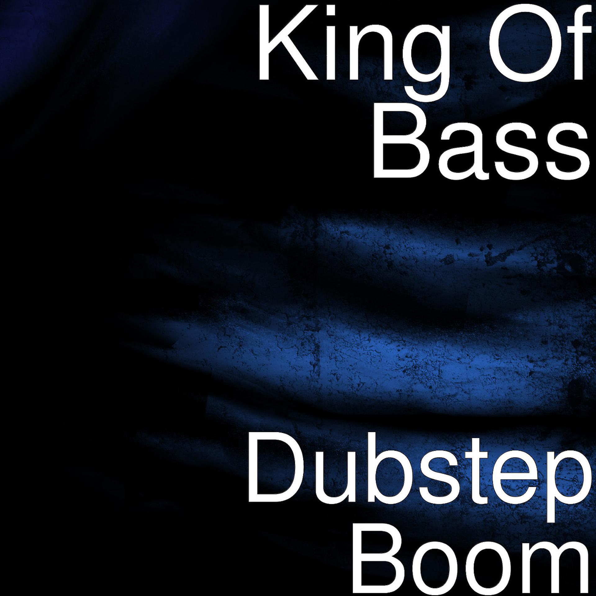 Постер альбома Dubstep Boom