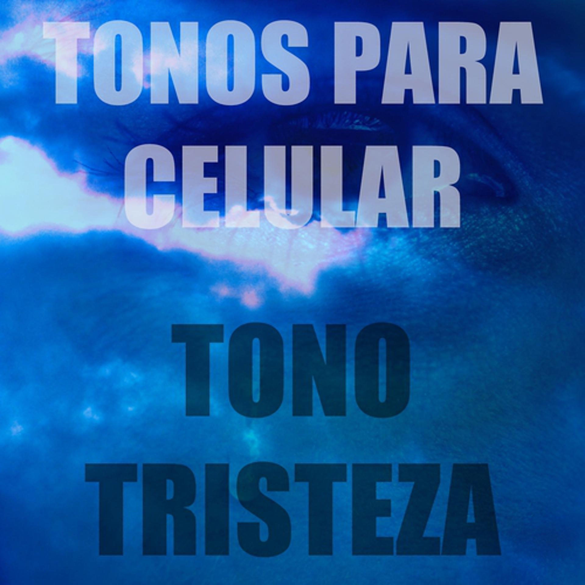 Постер альбома Tono Tristeza