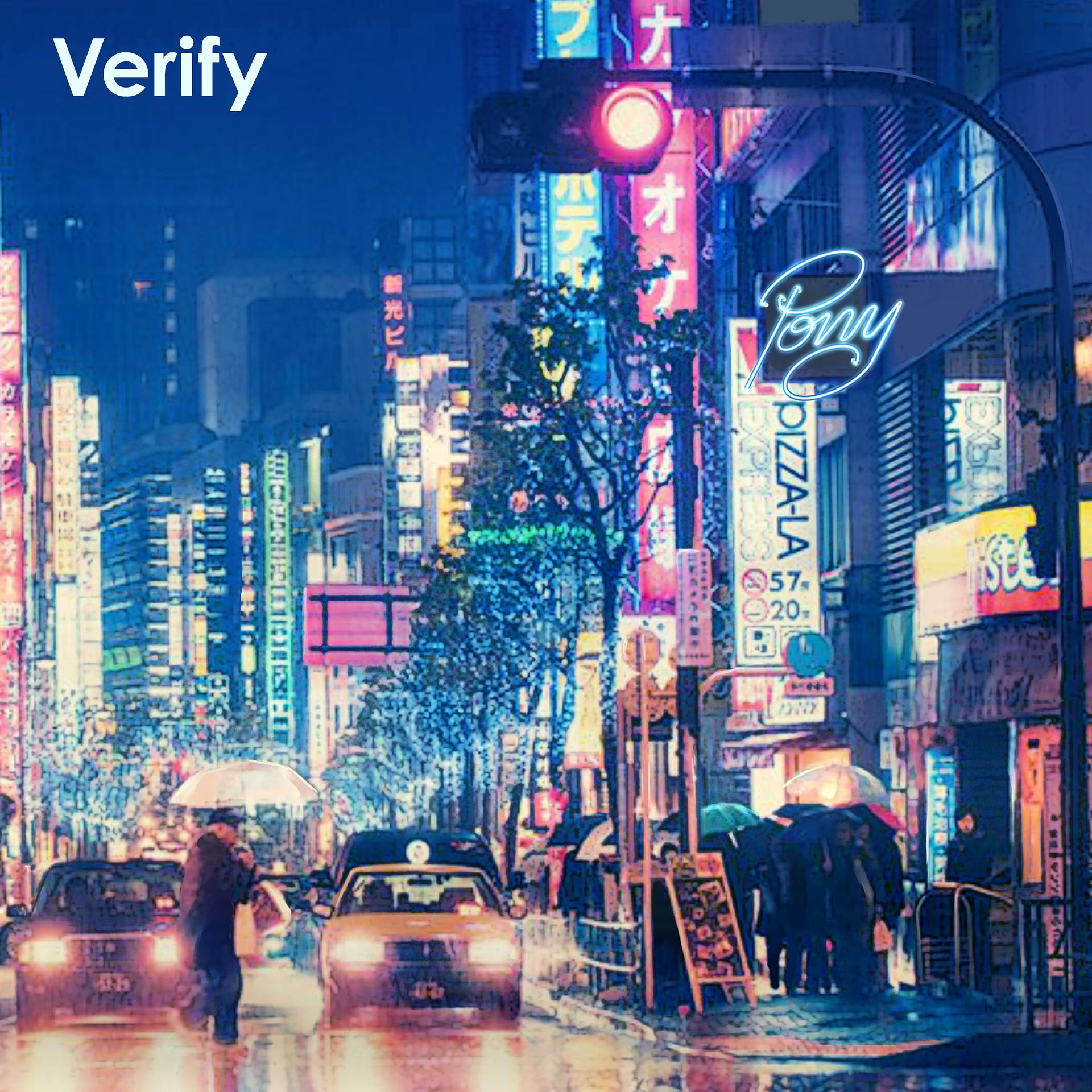 Постер альбома Verify