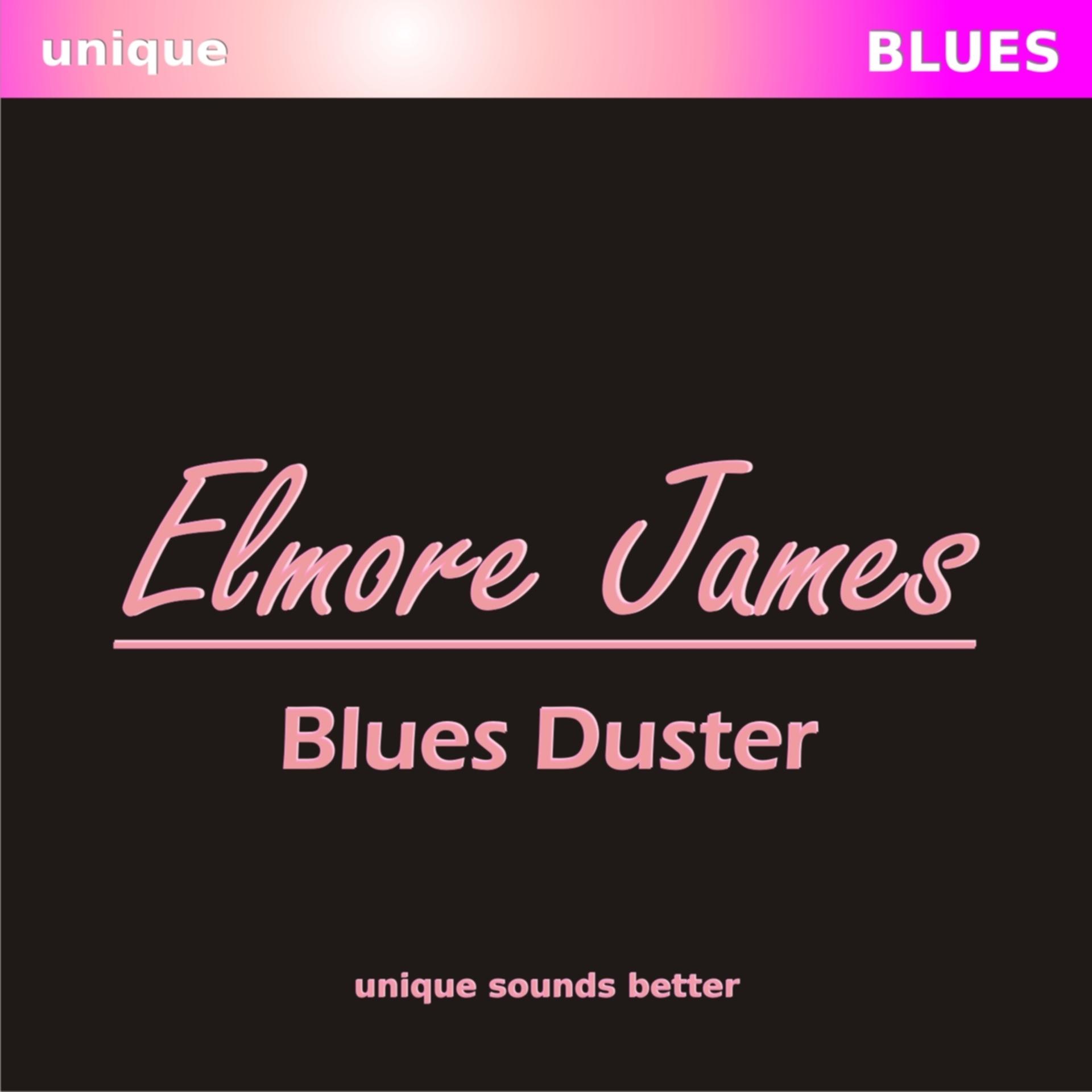 Постер альбома Blues Duster