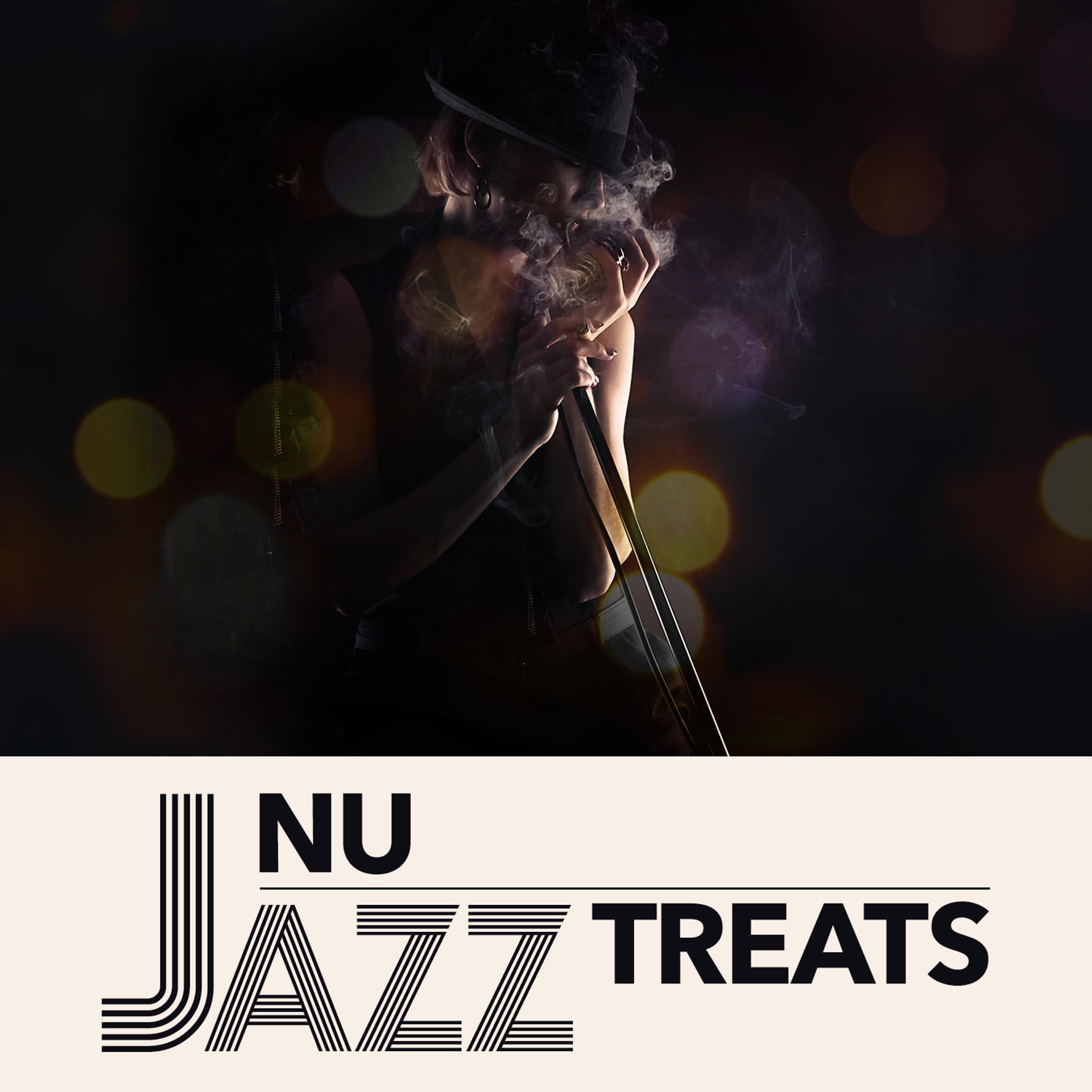 Постер альбома Nu Jazz Treats