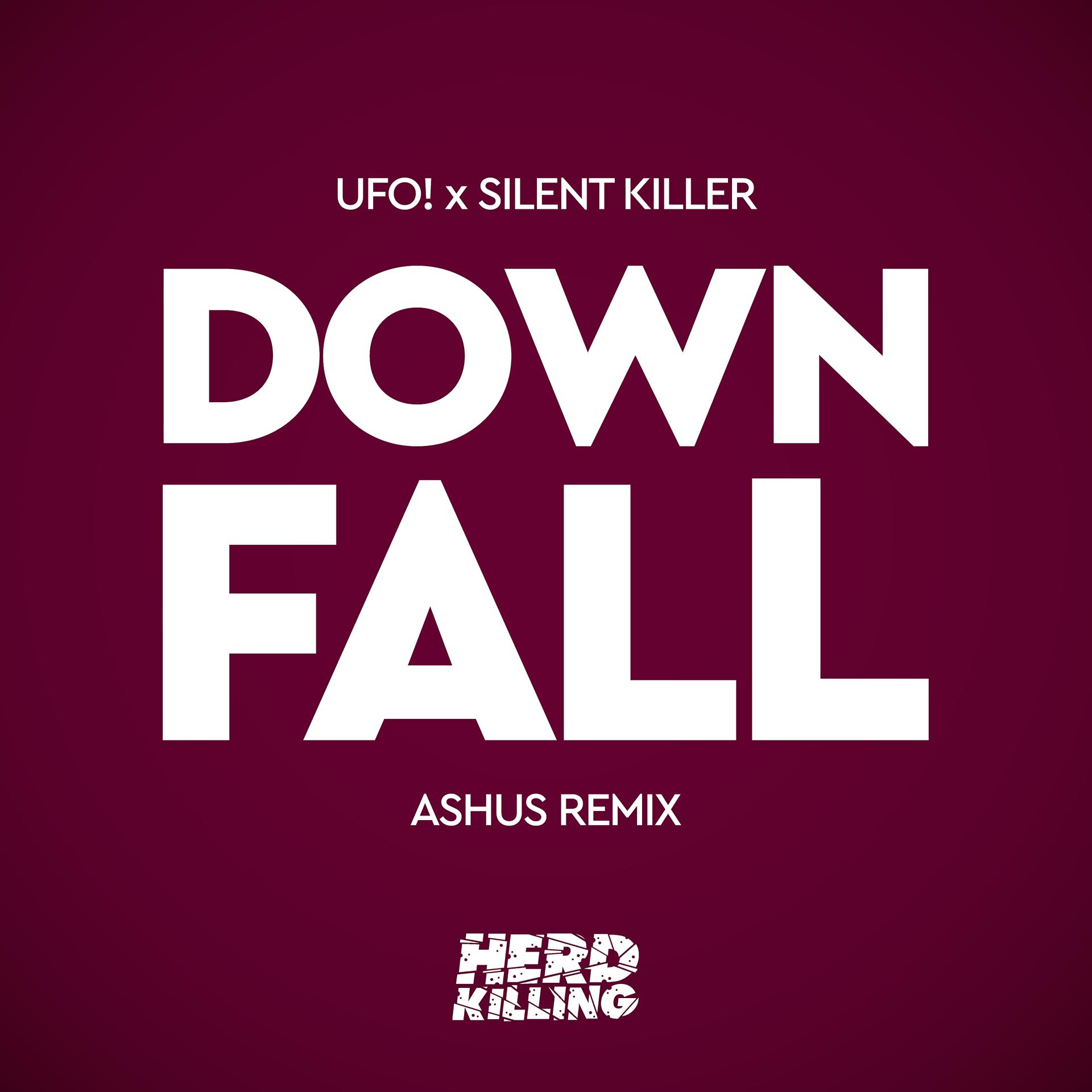Постер альбома Downfall (Ashus Remix)