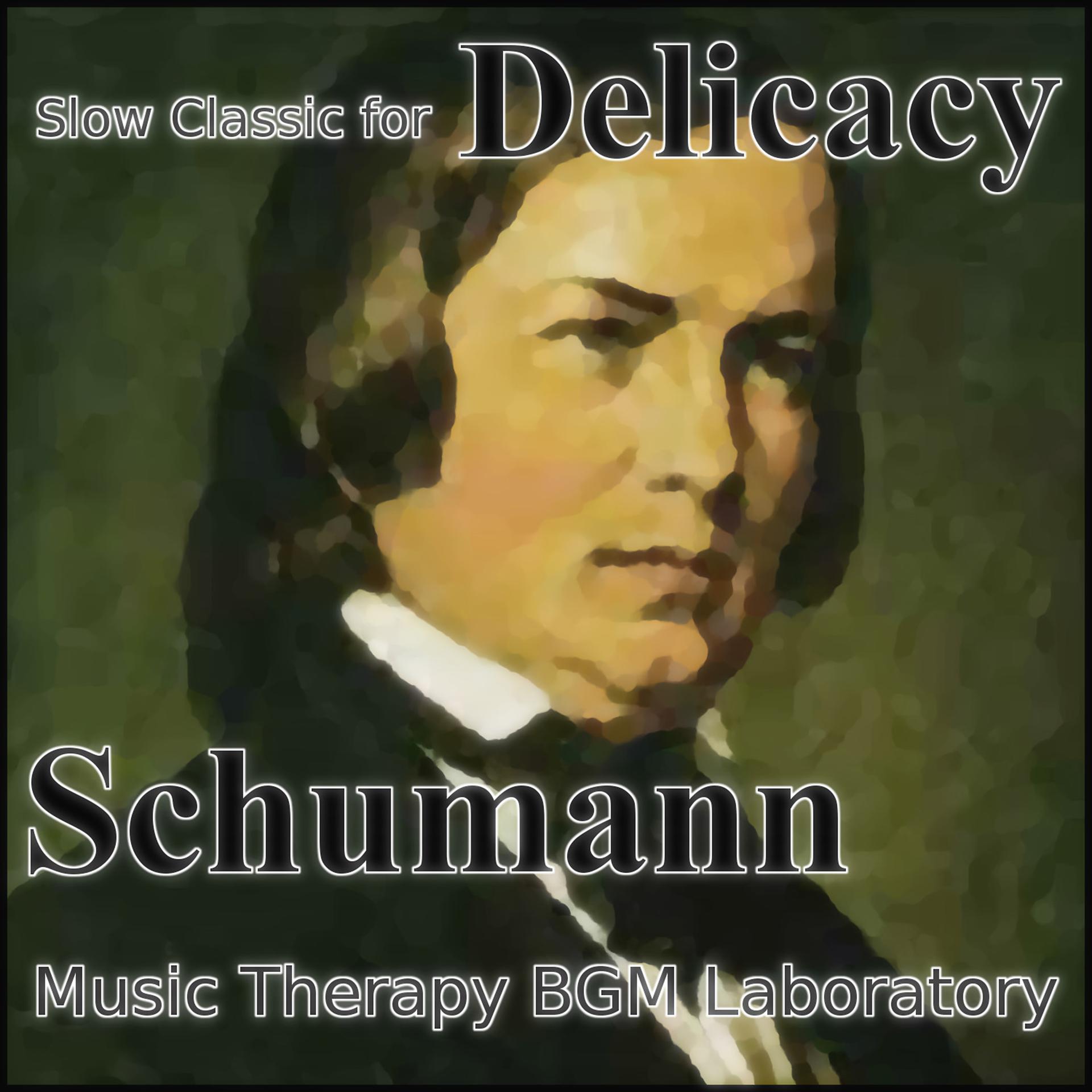 Постер альбома Slow Classic for Delicacy "Schumann"