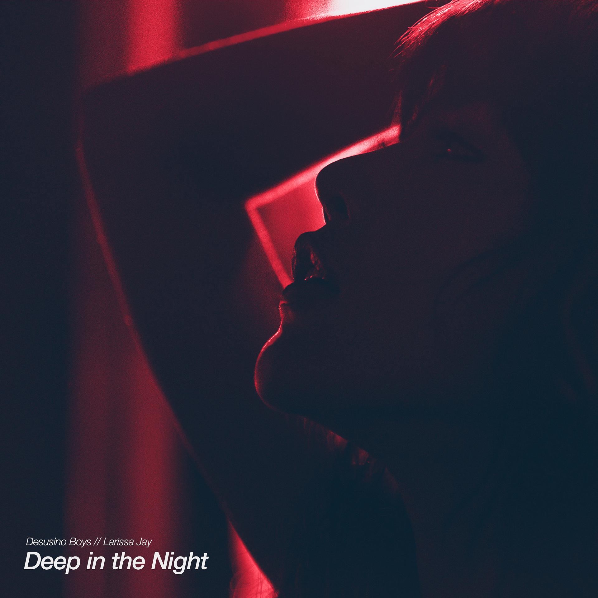 Постер альбома Deep in the Night