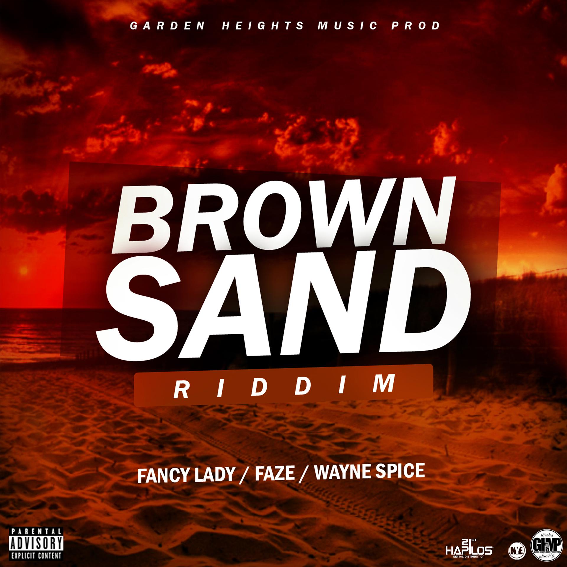 Постер альбома Brown Sand Ridddim