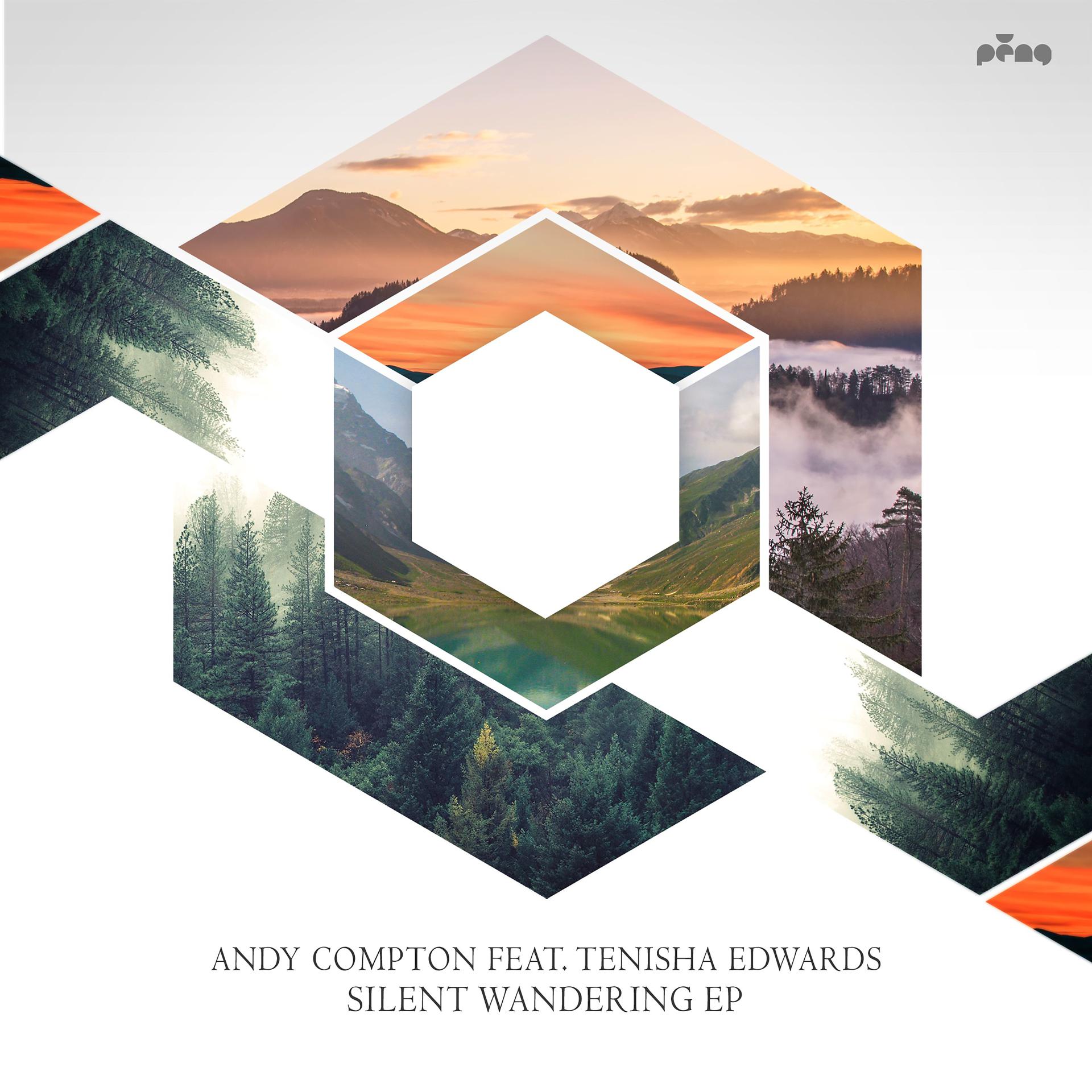Постер альбома Silent Wandering