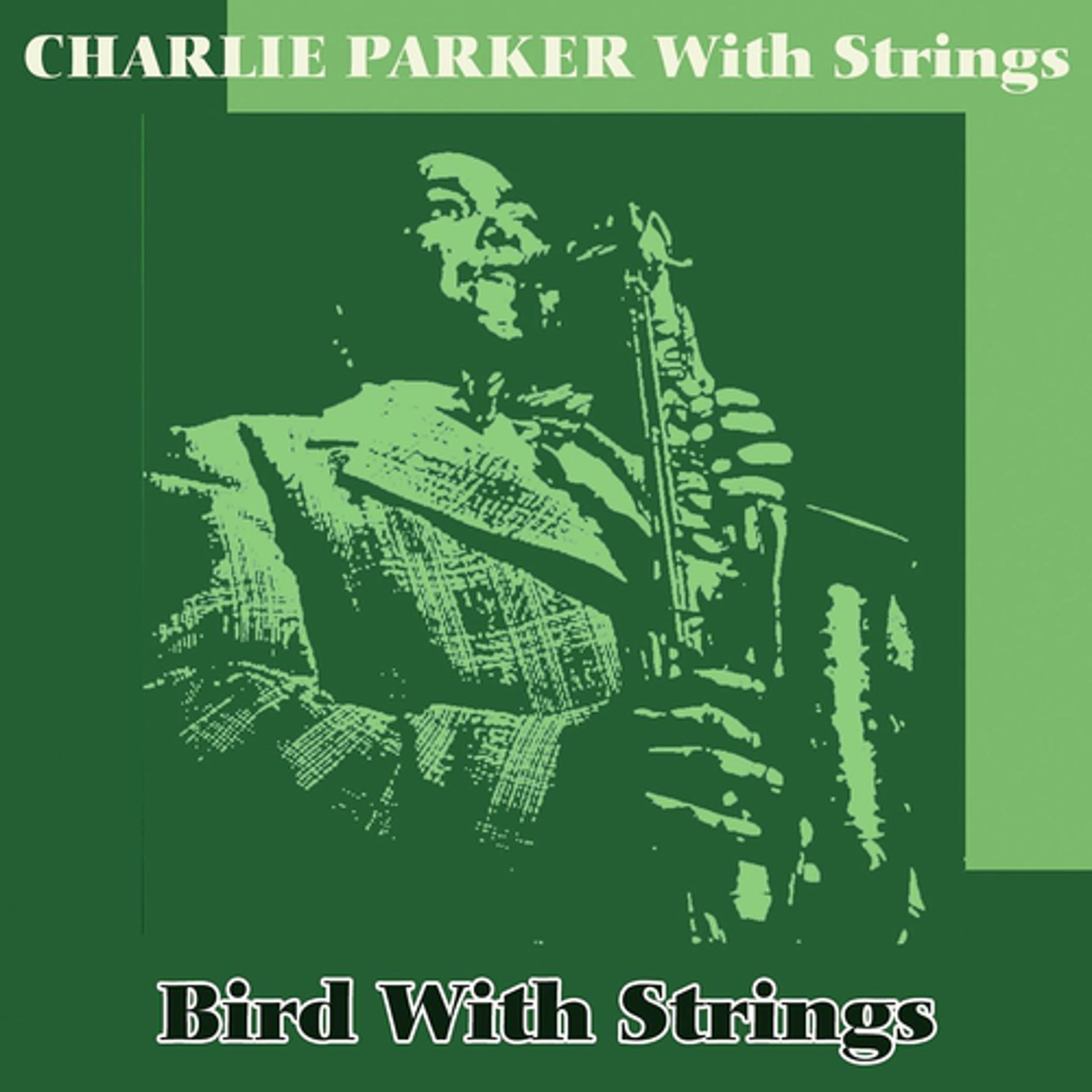 Постер альбома Bird With Strings