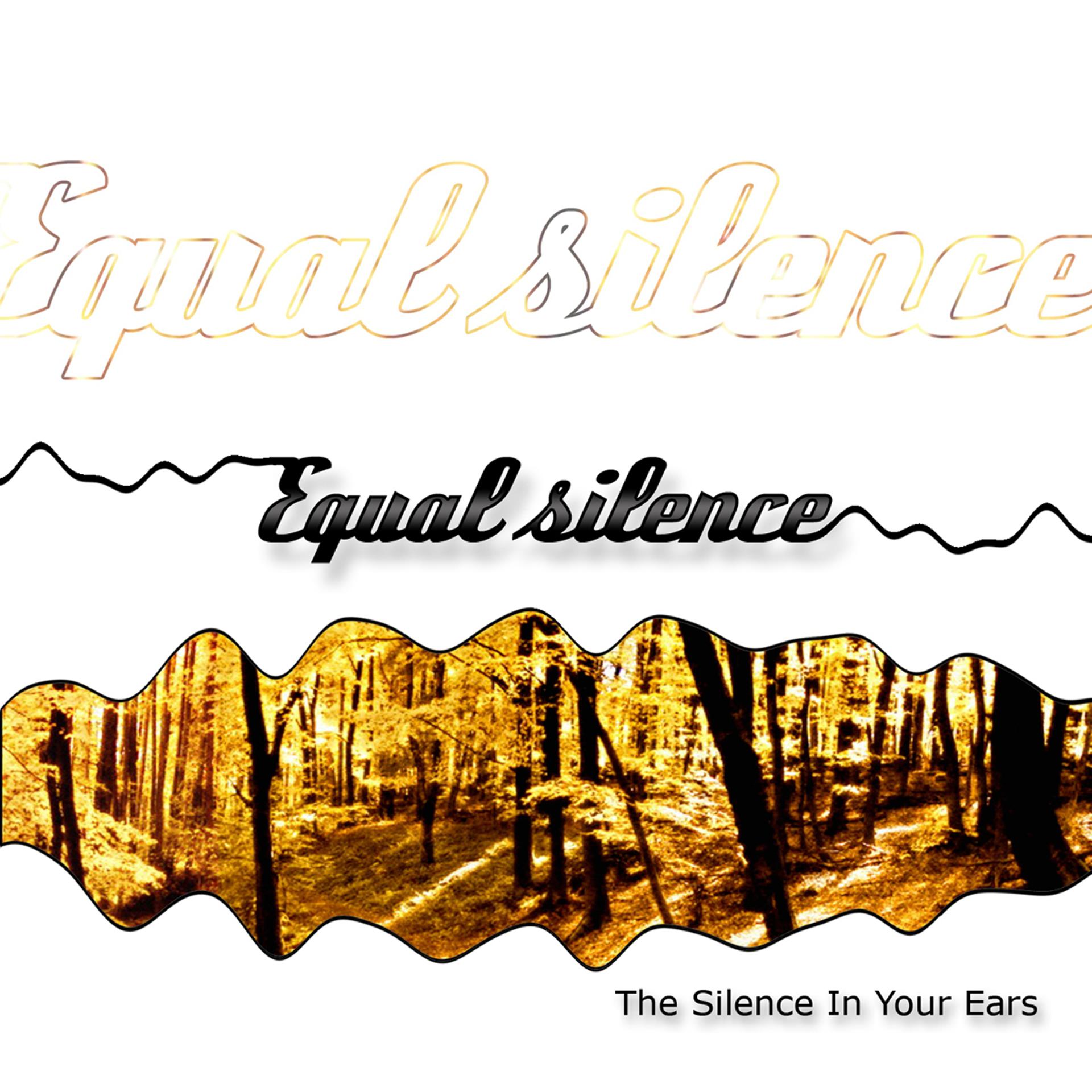Постер альбома The Silence In Your Ears