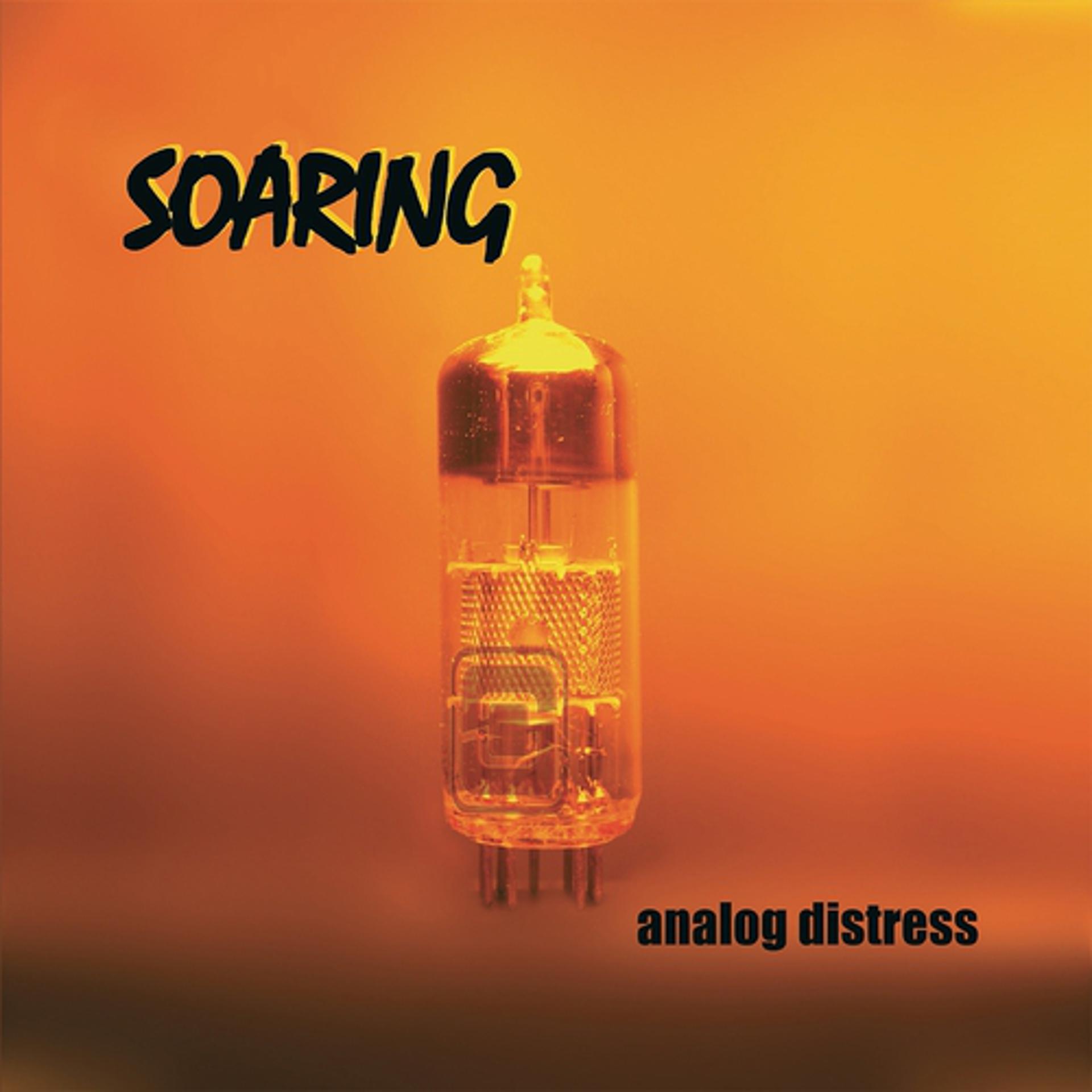Постер альбома Analog Distress