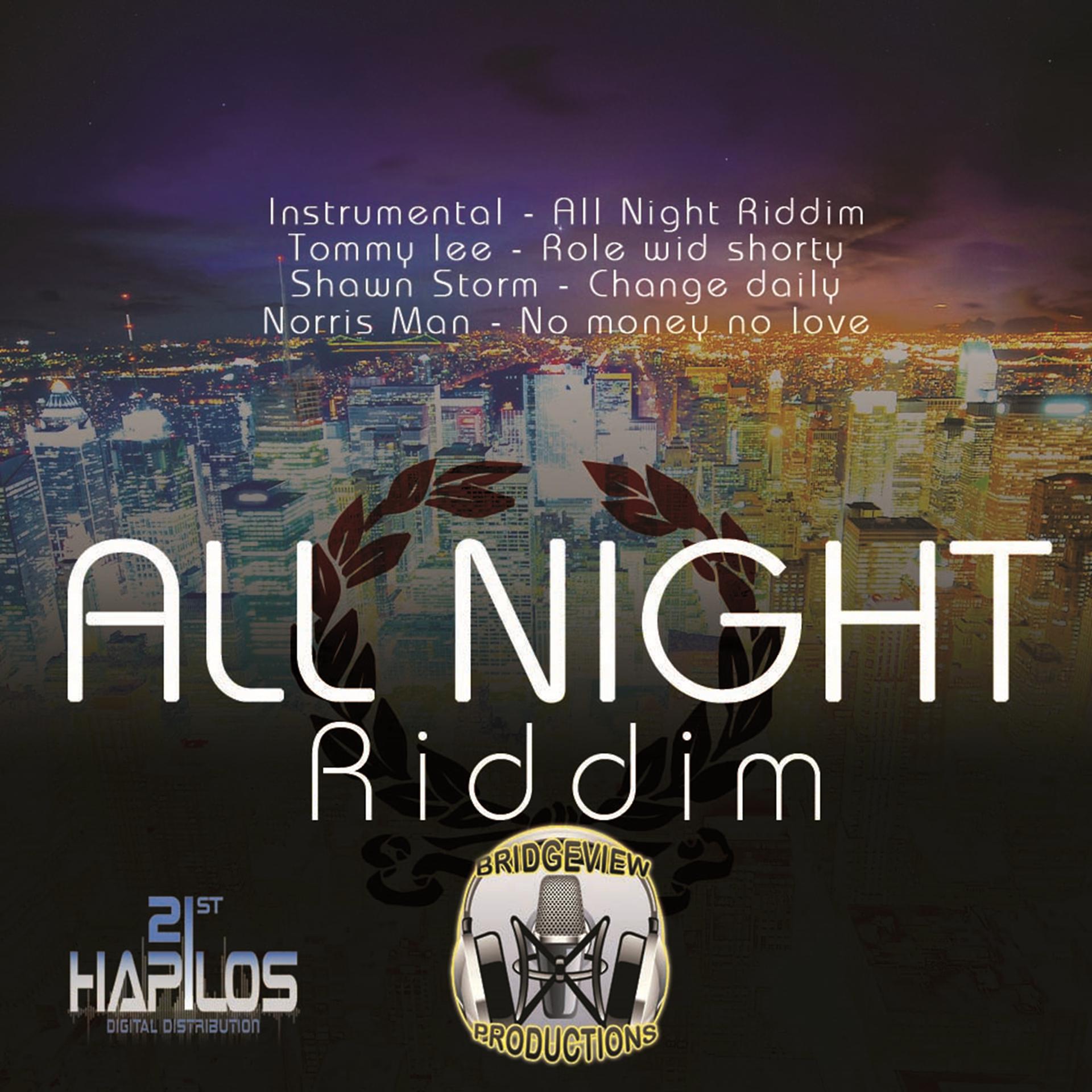 Постер альбома All Night Riddim
