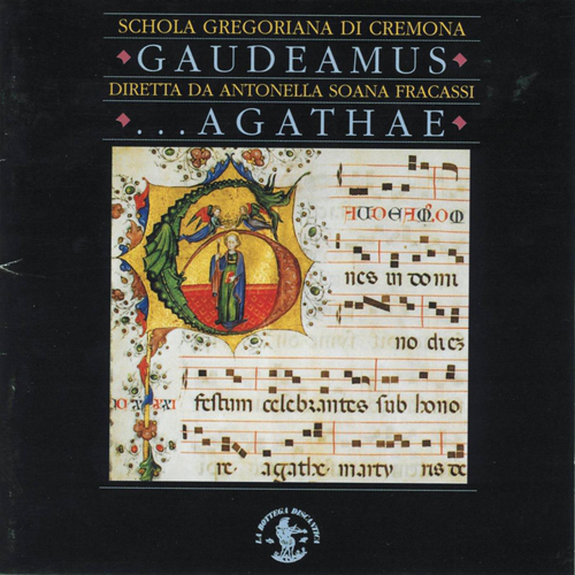 Постер альбома Gaudeamus agathae