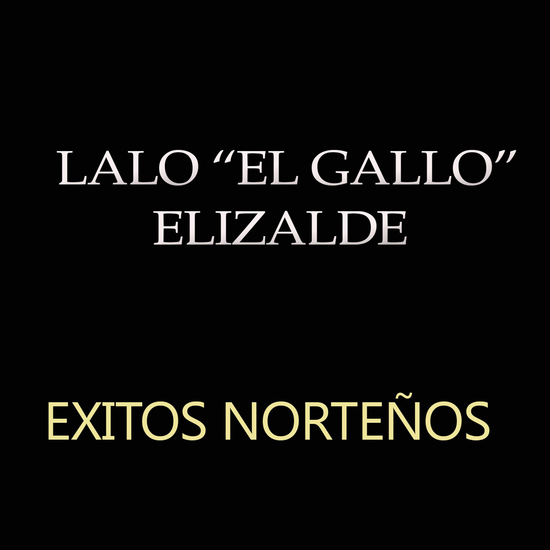 Постер альбома Exitos Nortenos