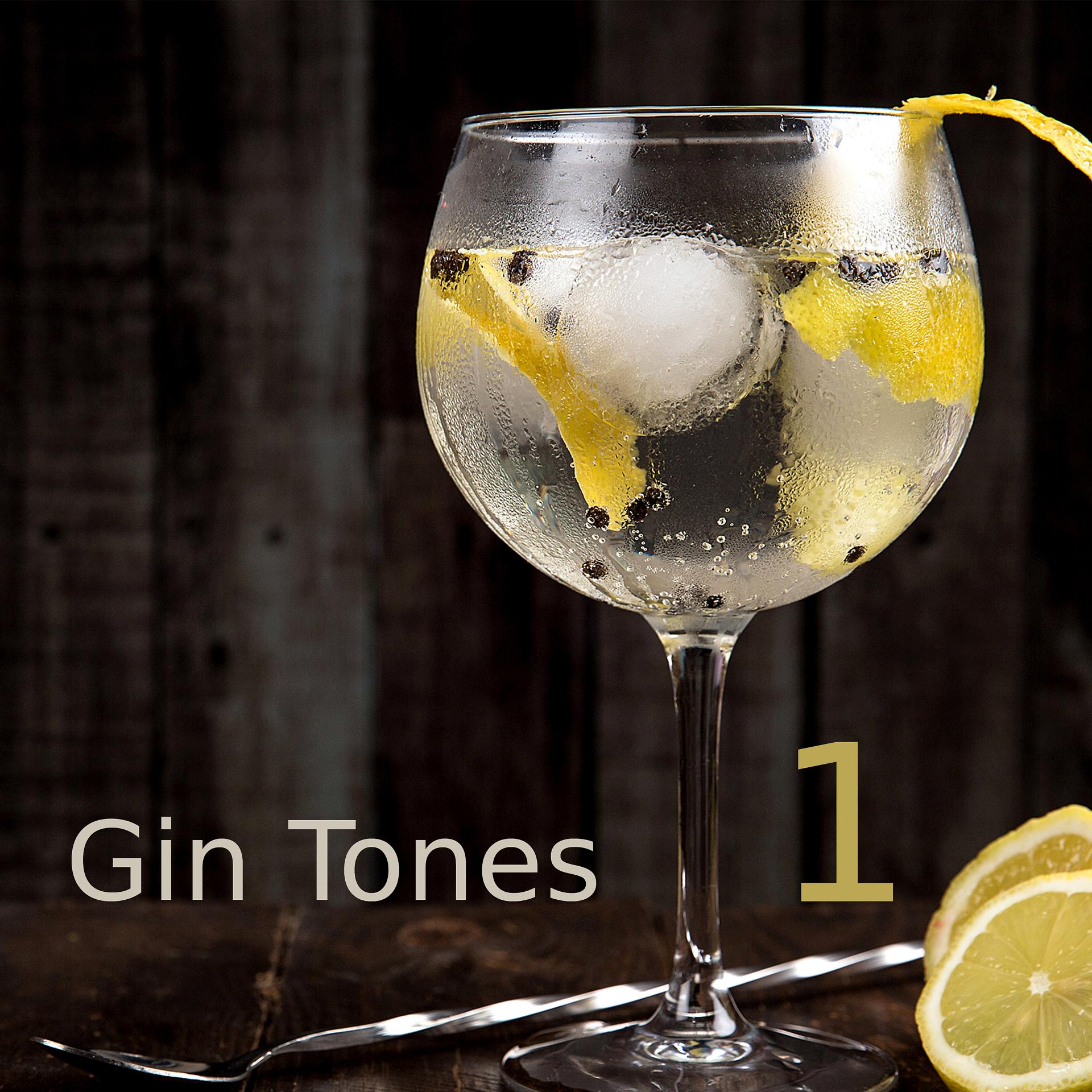 Постер альбома Gin Tones 1