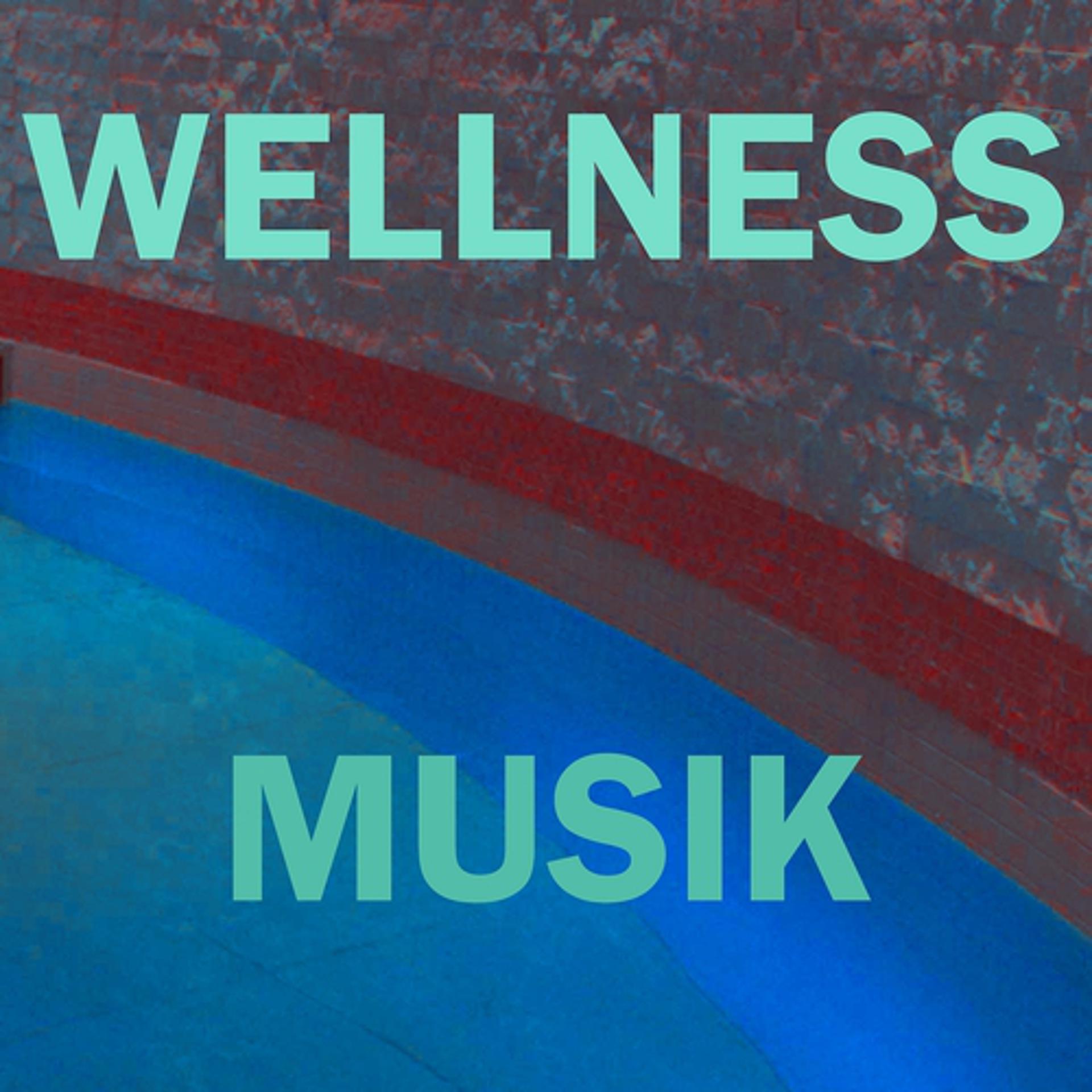 Постер альбома Wellness-musik