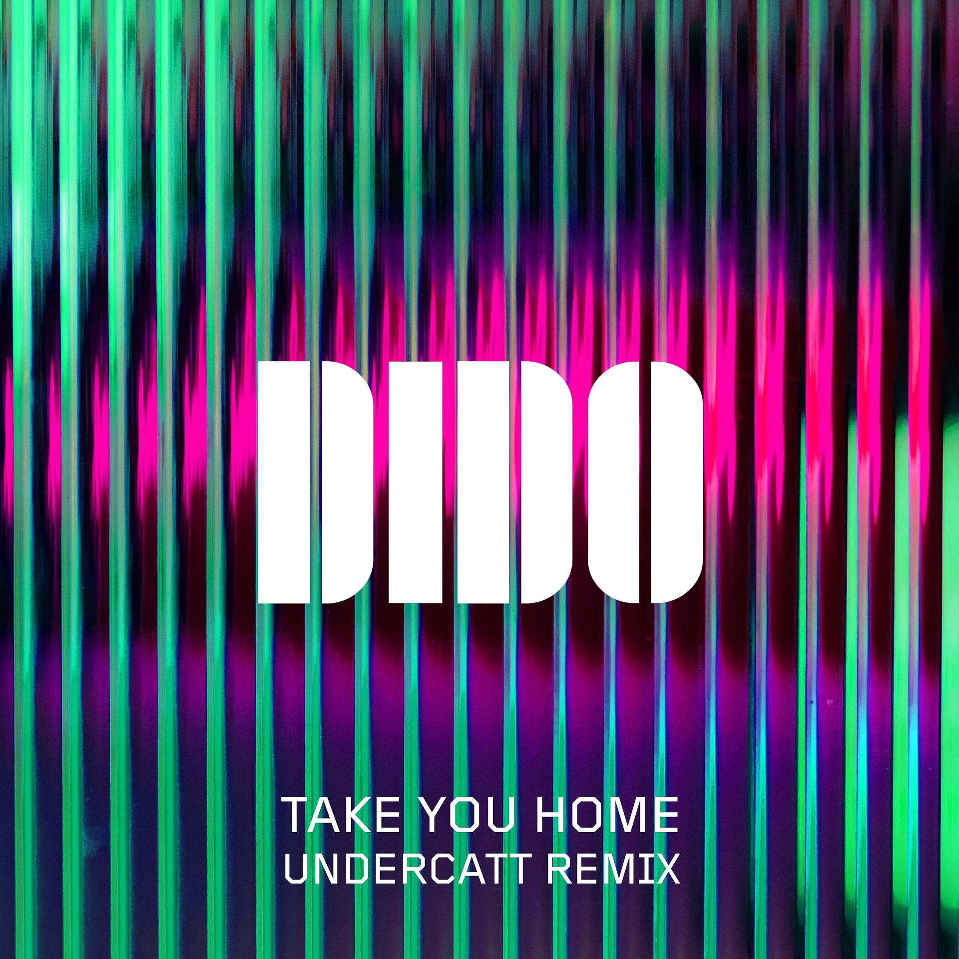 Постер альбома Take You Home (Undercatt Remix)