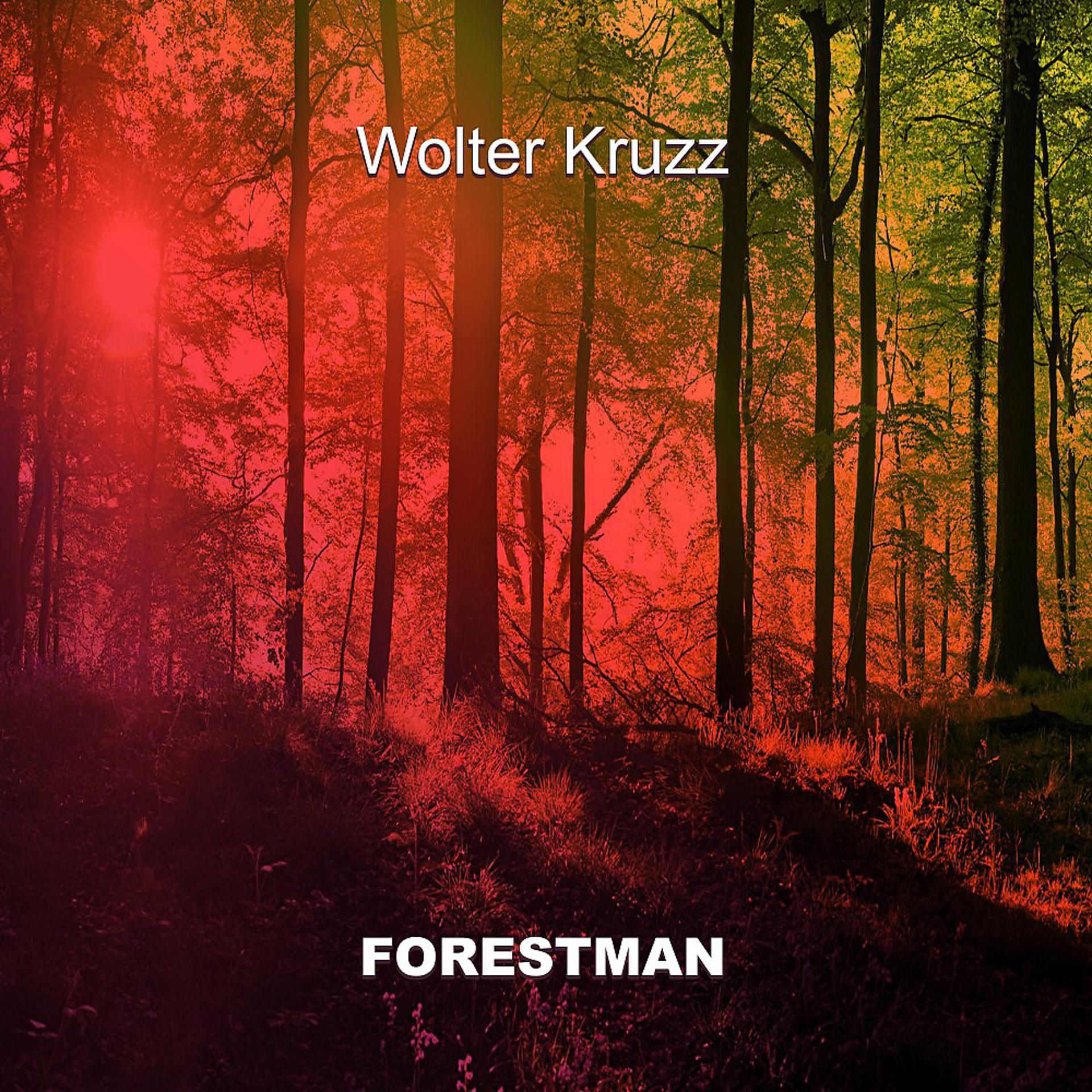 Постер альбома Forestman