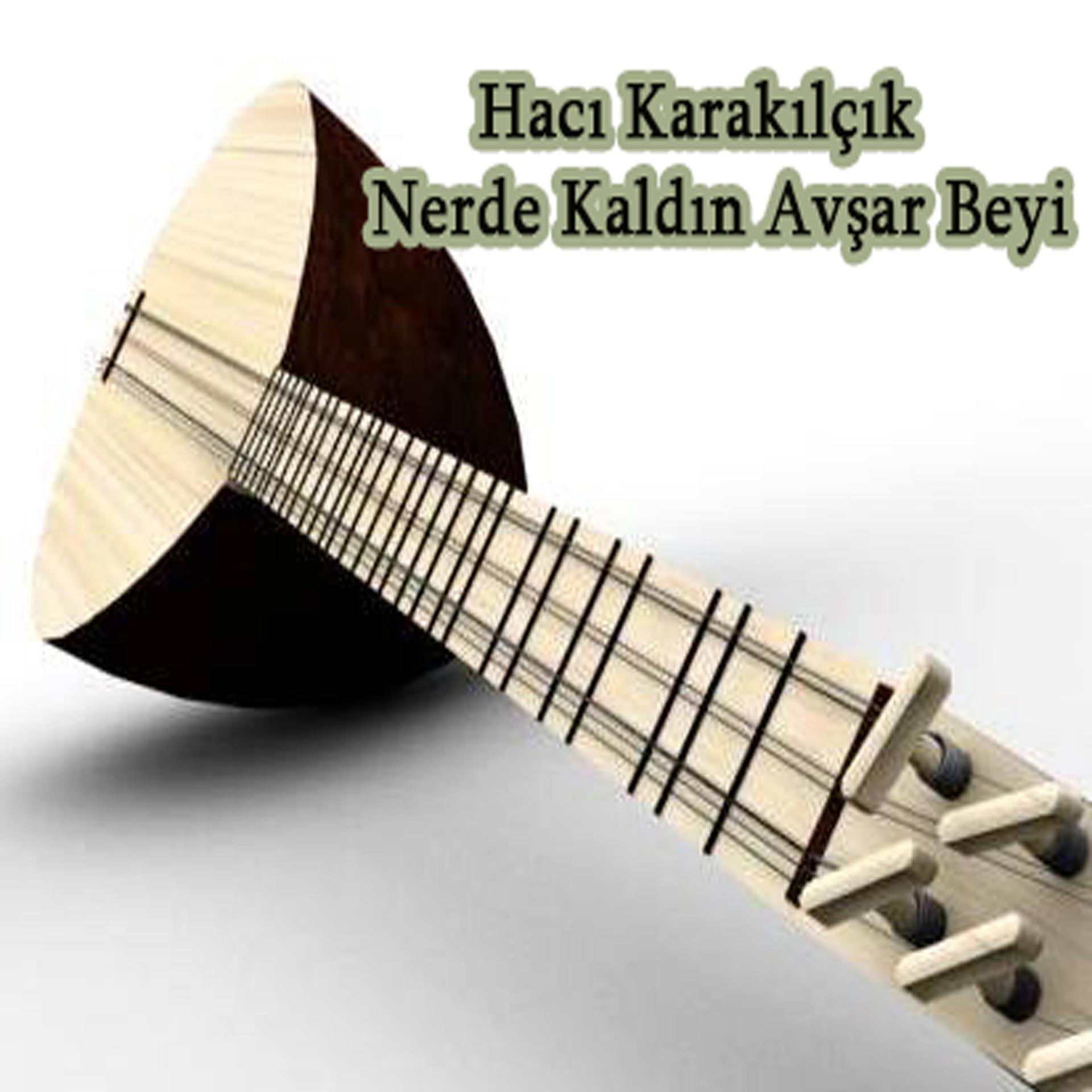 Постер альбома Nerde Kaldın Avşar Beyi
