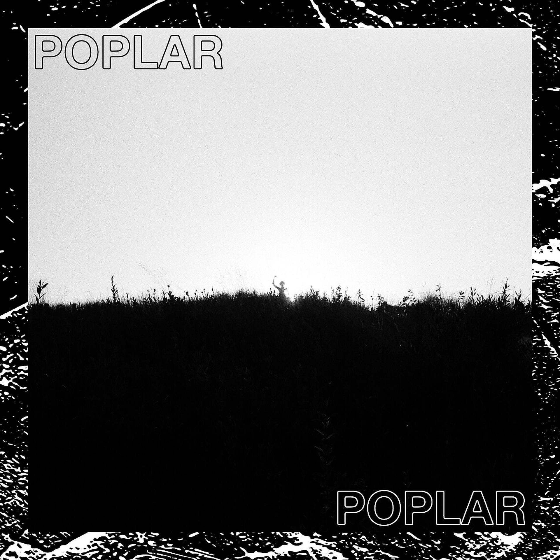 Постер альбома Poplar