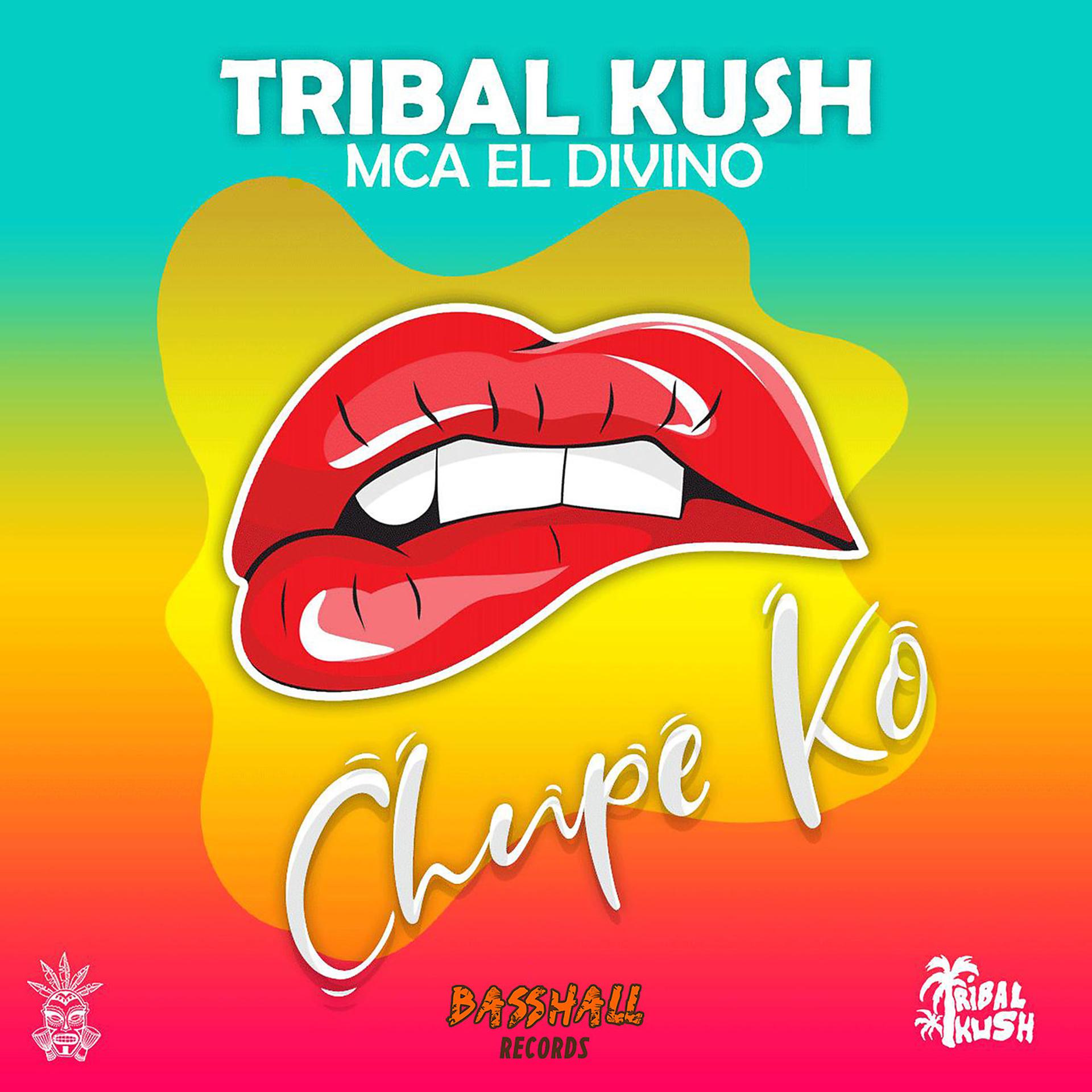 Постер альбома Chupe Ko