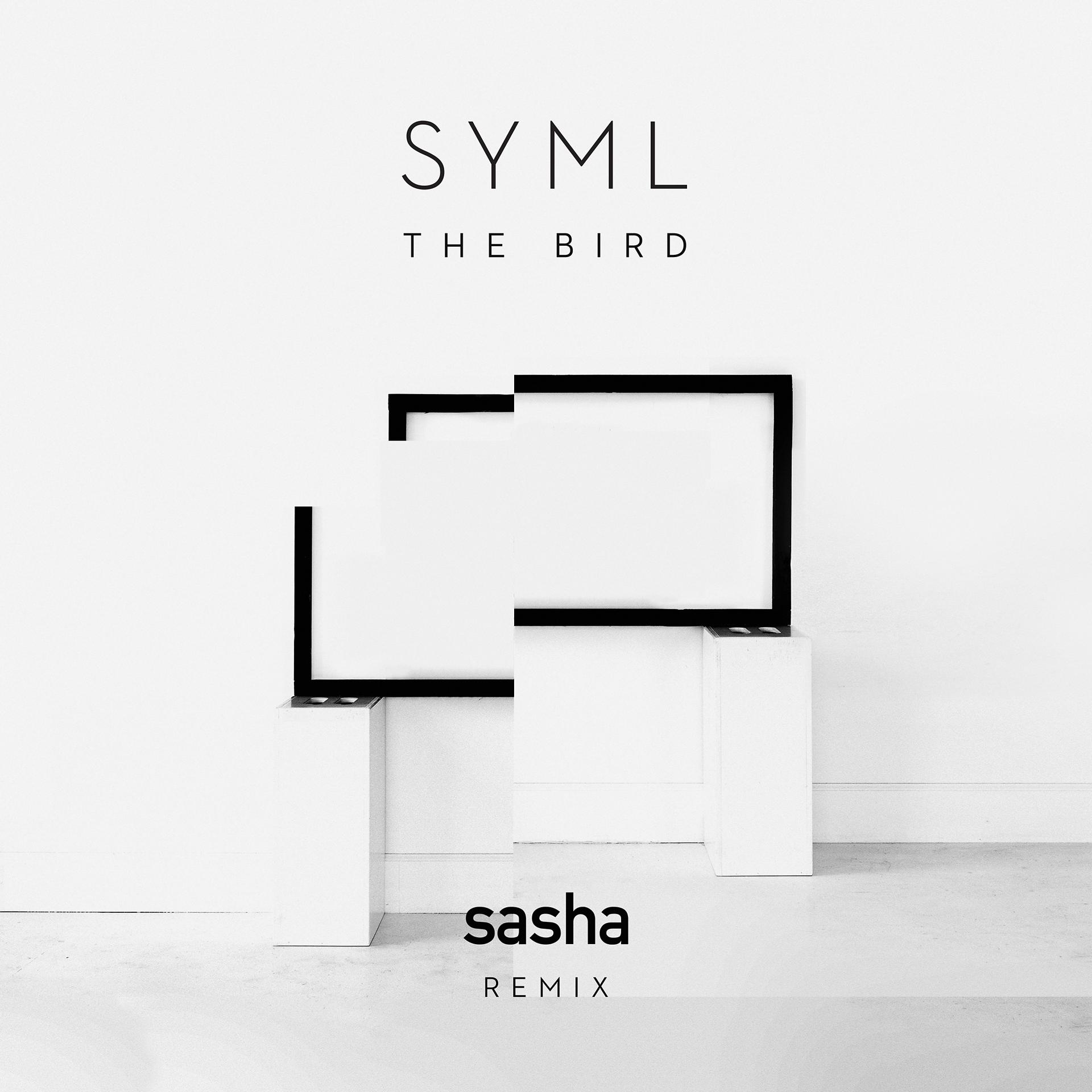 Постер альбома The Bird (Sasha Remix)