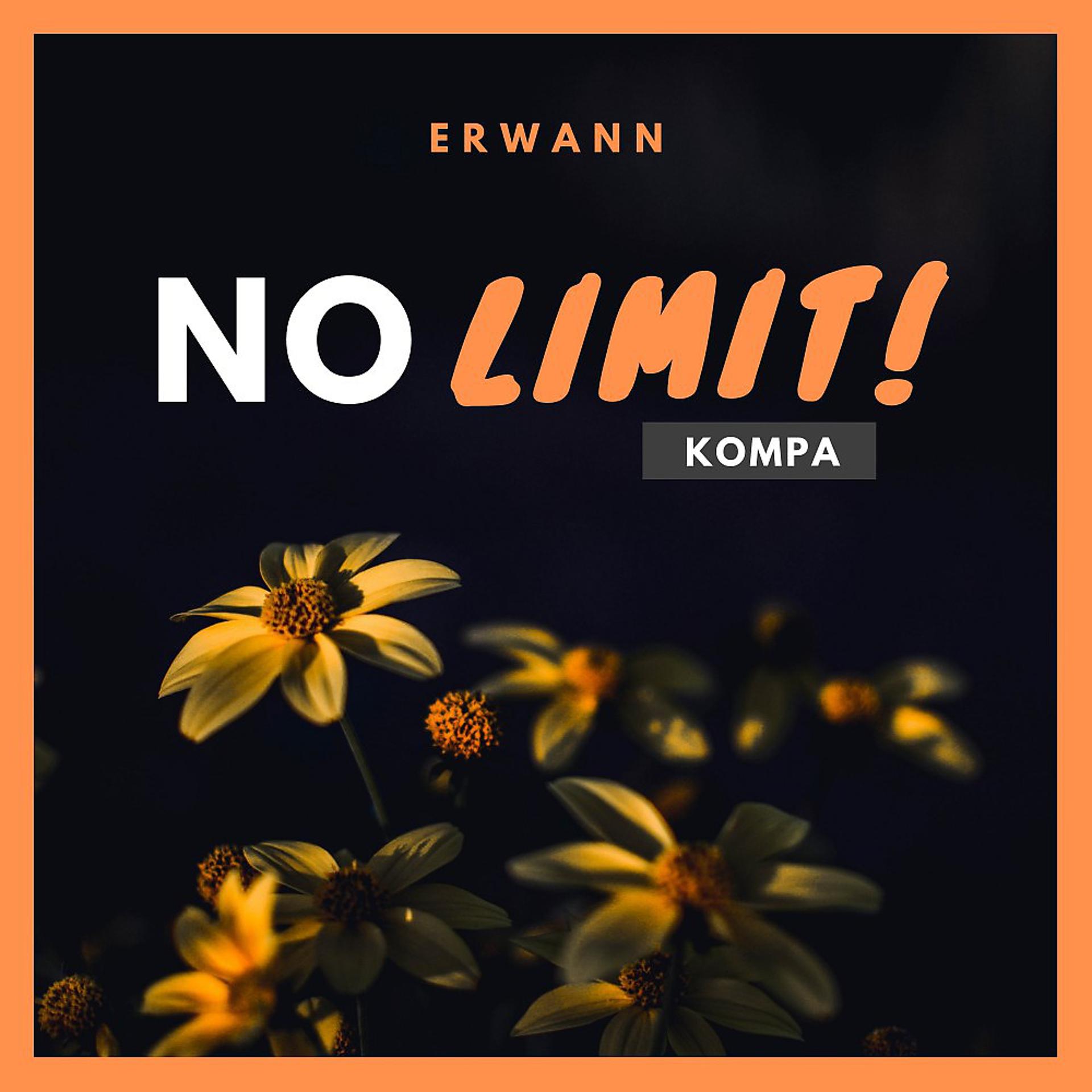 Постер альбома No Limit (Kompa)