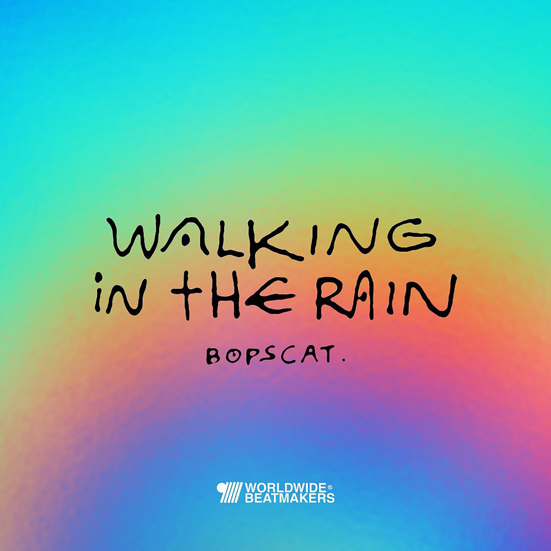 Постер альбома Walking in the Rain