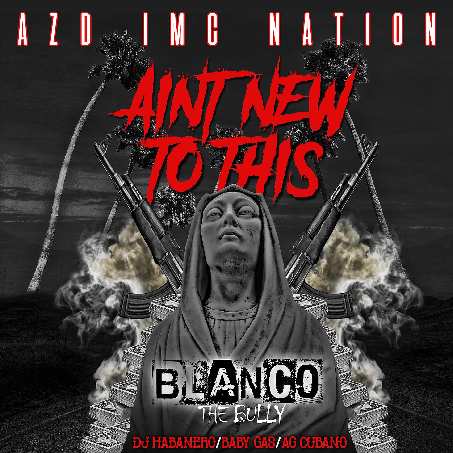 Постер альбома Aint New To This (feat. Baby Gas, Ag Cubano & Dj Habanero)