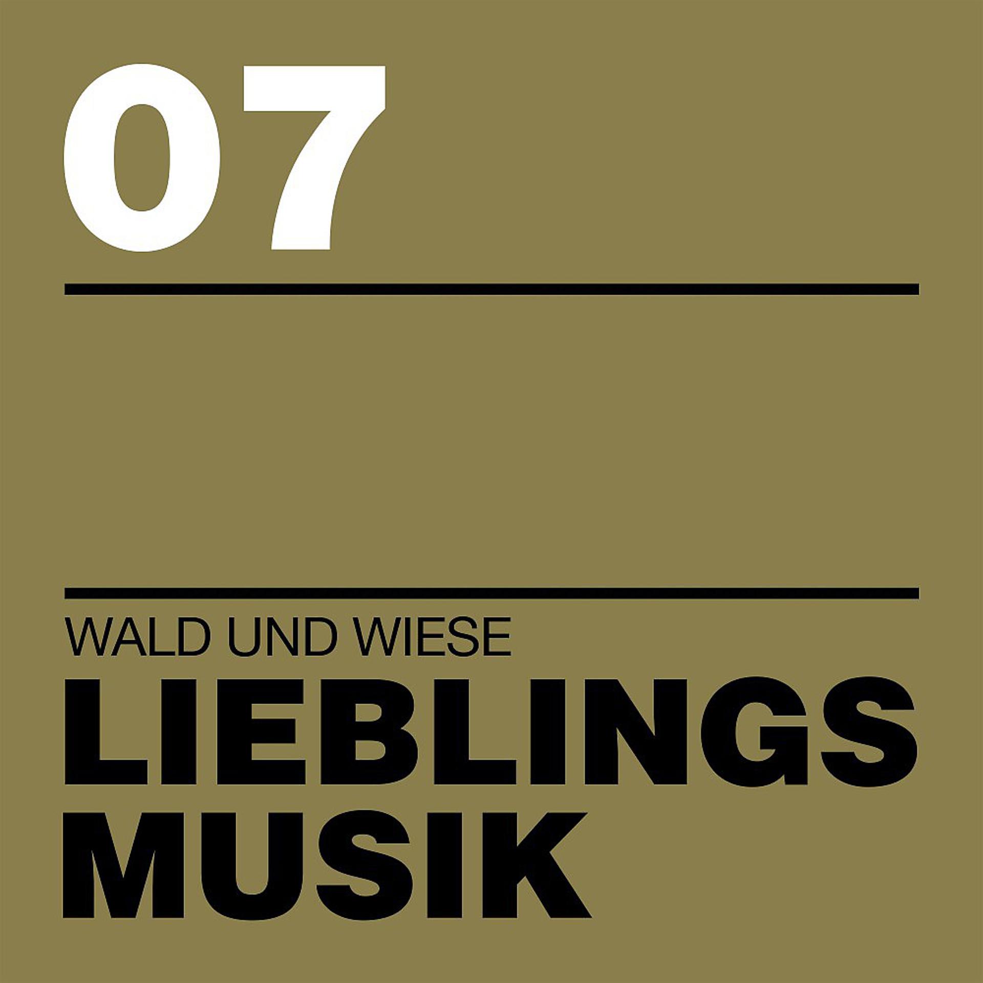 Постер альбома Lieblingsmusik 07