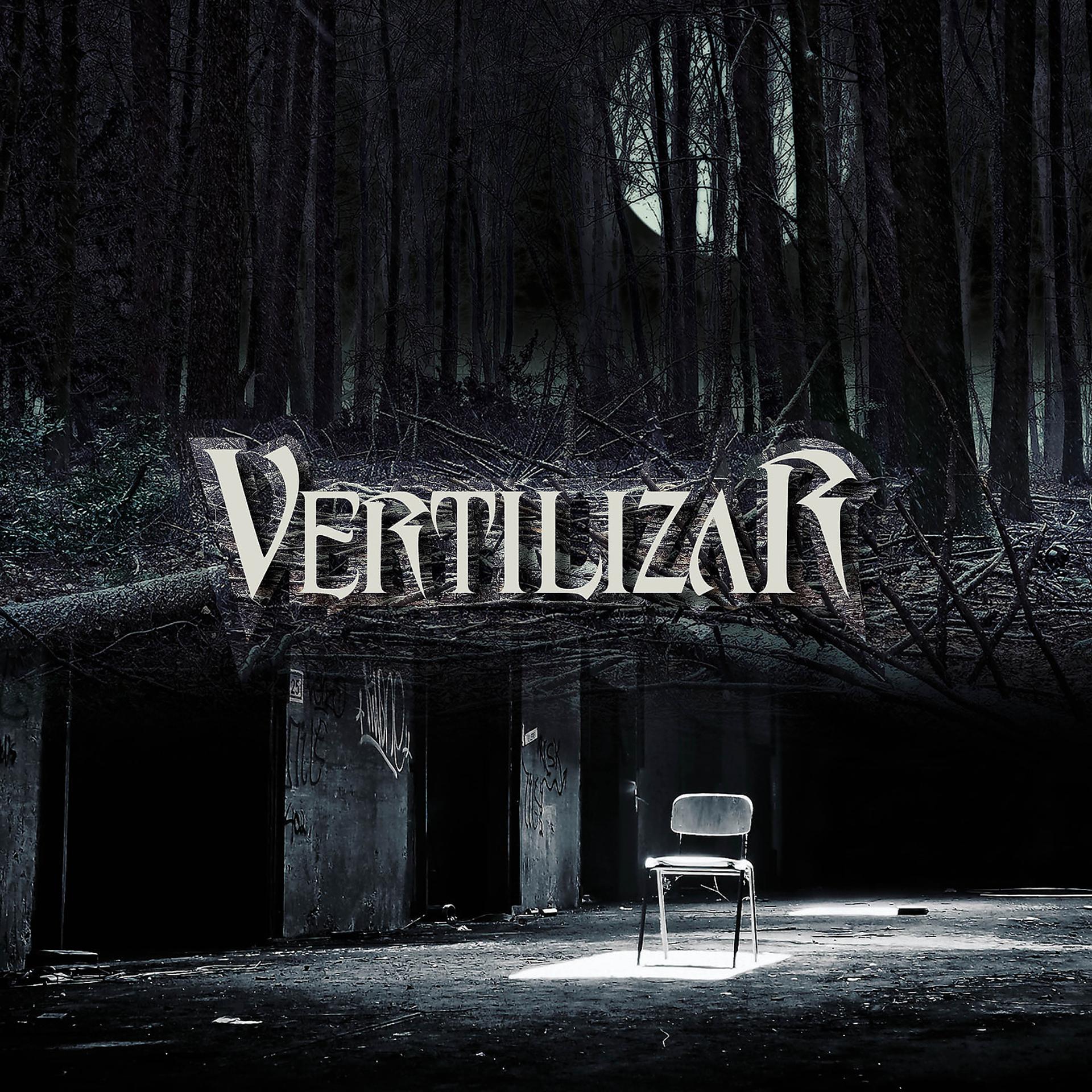 Постер альбома Vertilizar