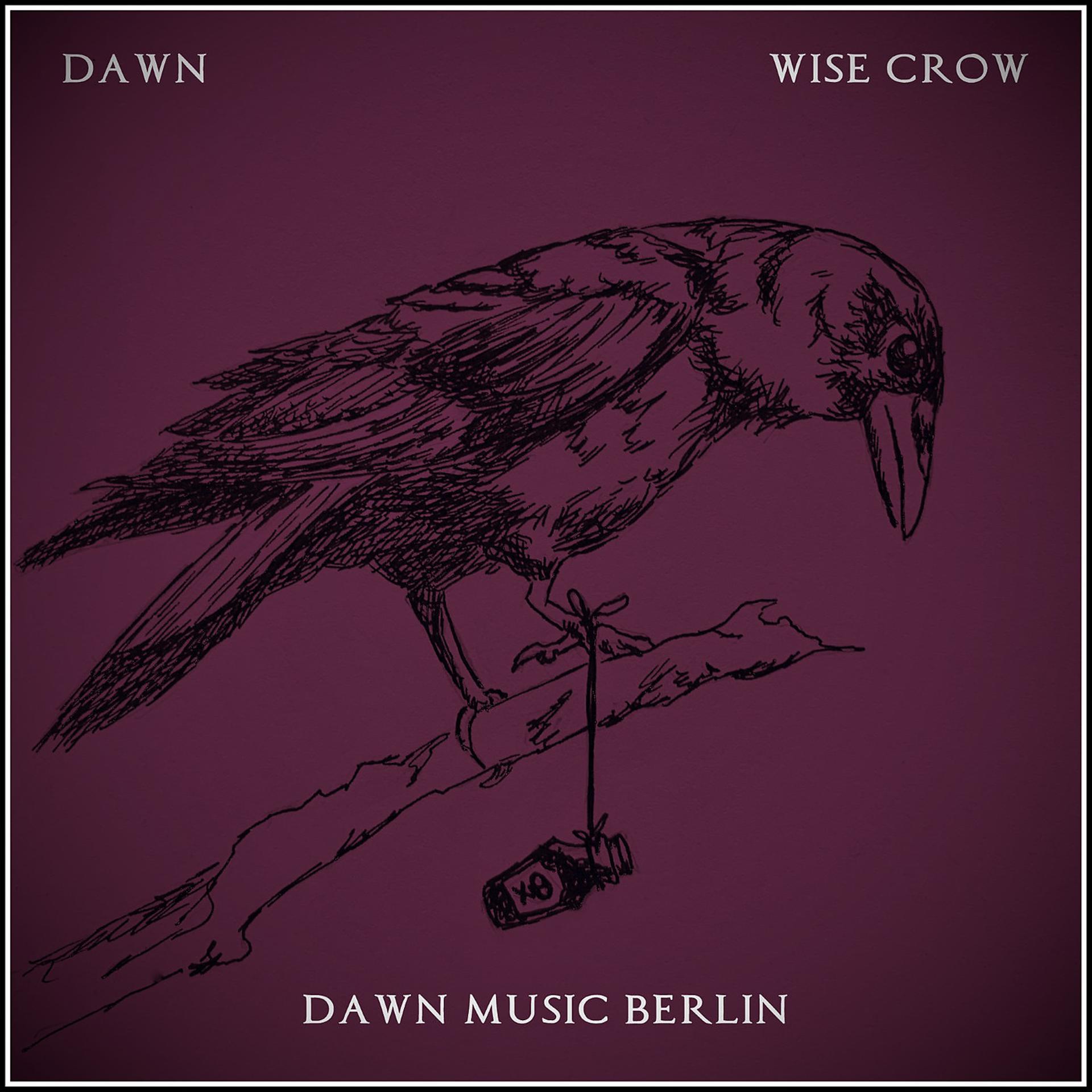 Постер альбома Wise Crow