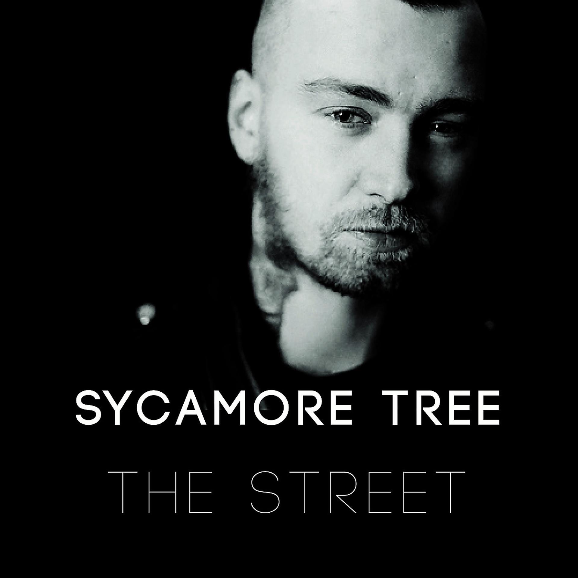 Постер альбома The Street (Live in Reykjavik)