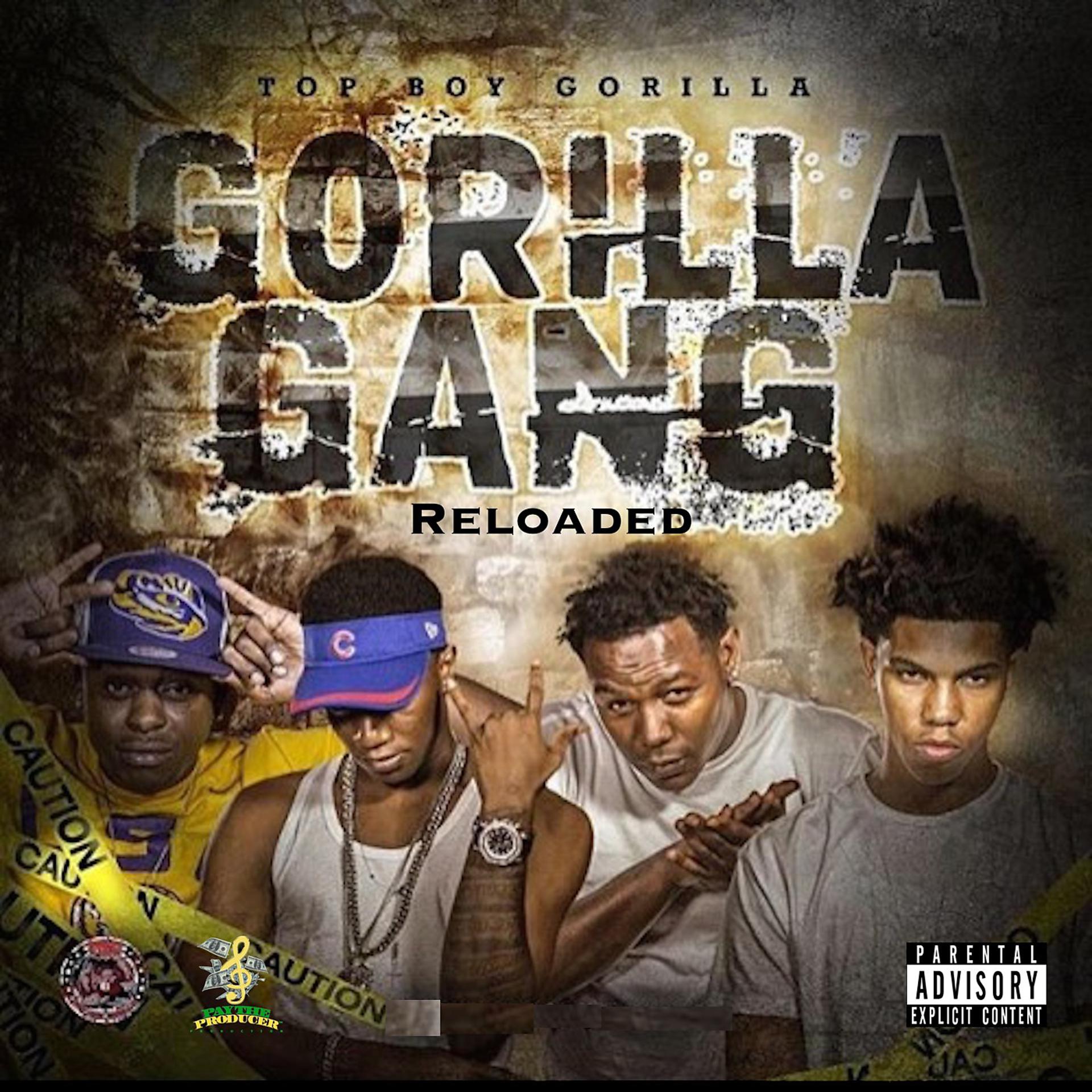 Постер альбома Tbg Gorilla Gang (Reloaded)