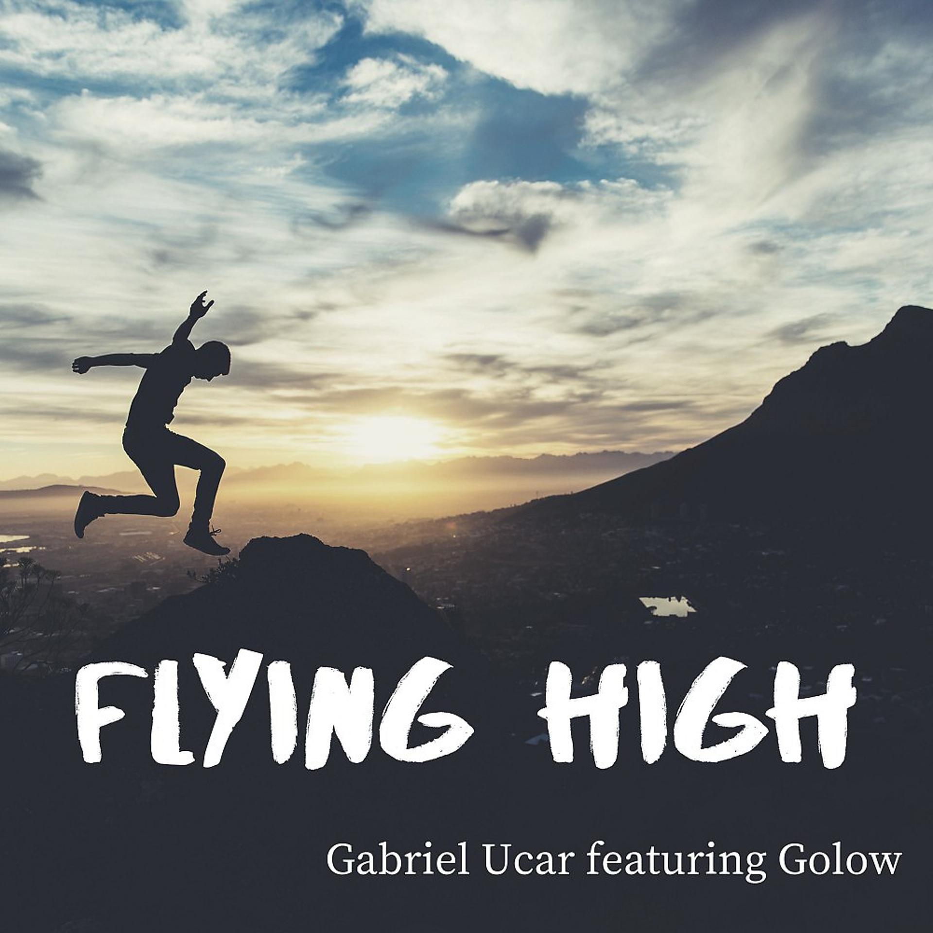 Постер альбома Flying High (Radio Edit)