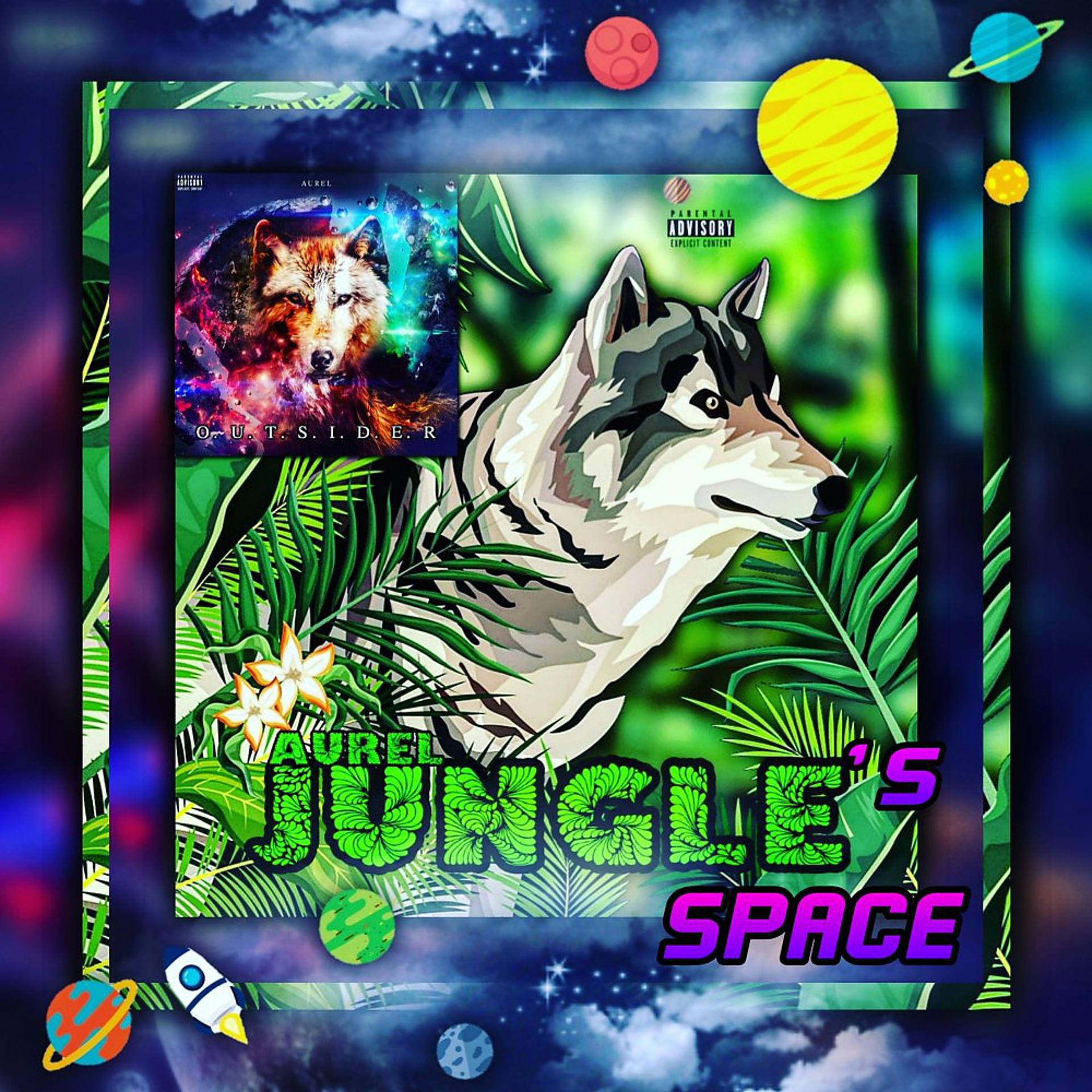 Постер альбома Jungle's Space / Outsider