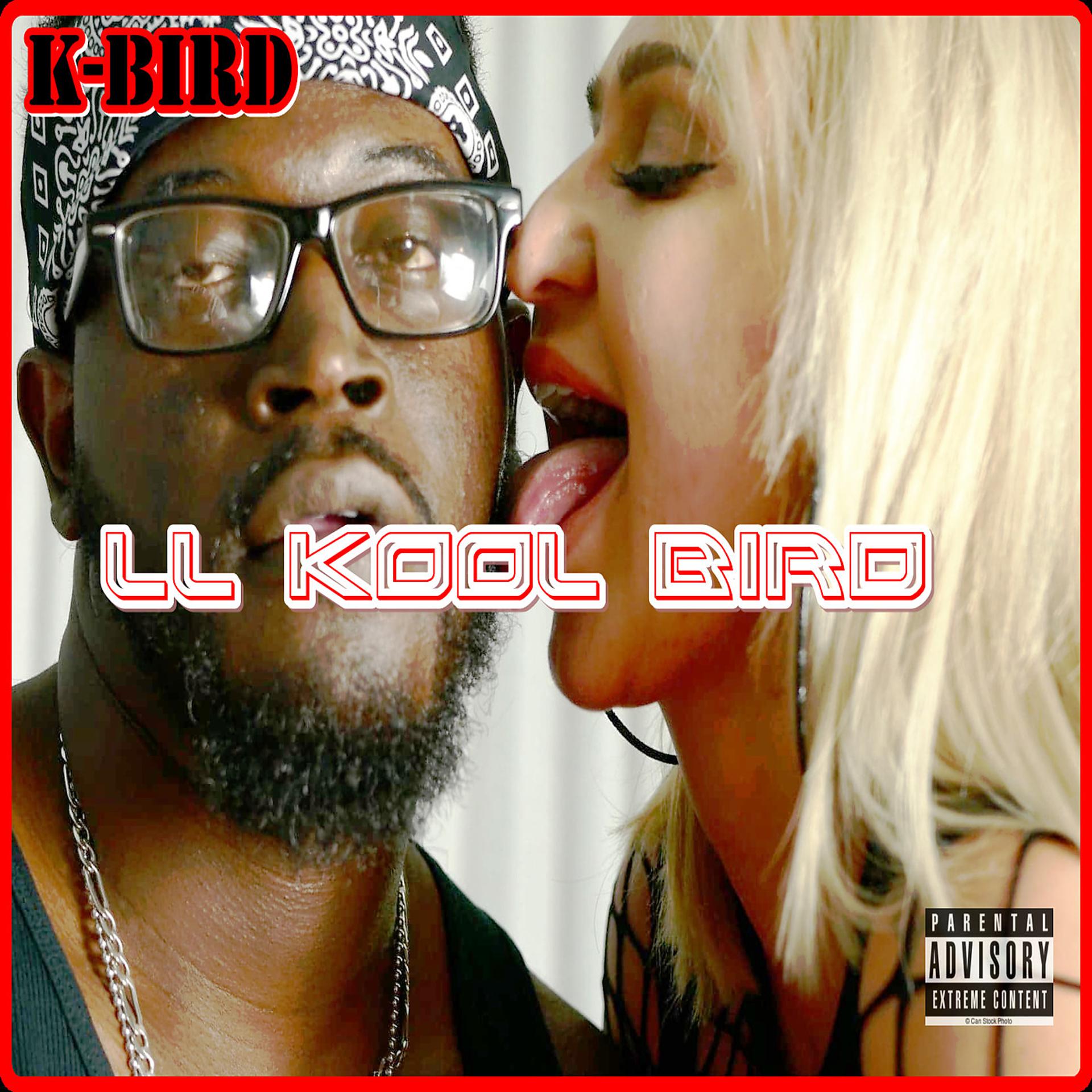 Постер альбома Ll Kool Bird