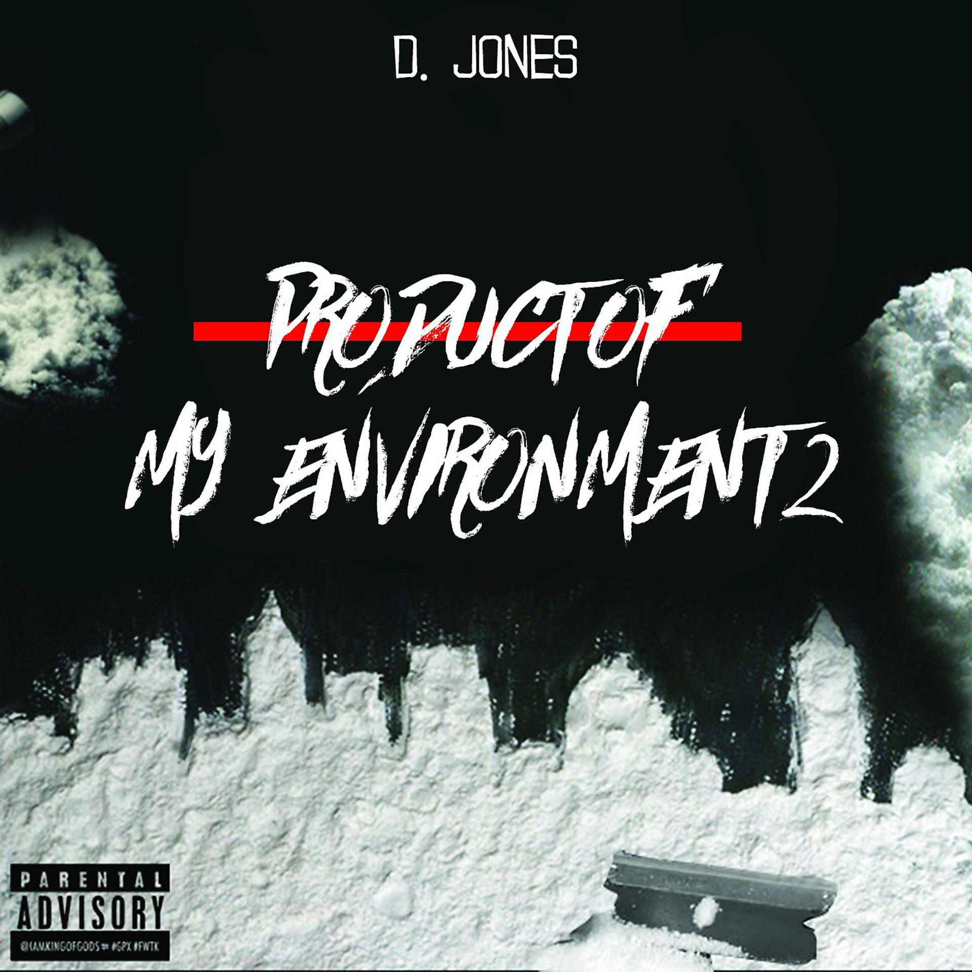 Постер альбома Product of My Environment 2