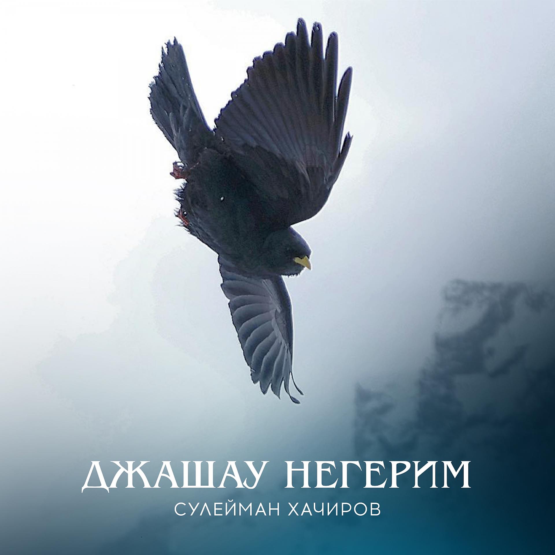 Постер к треку Сулейман Хачиров - Джашау негерим (Cпутница жизни)